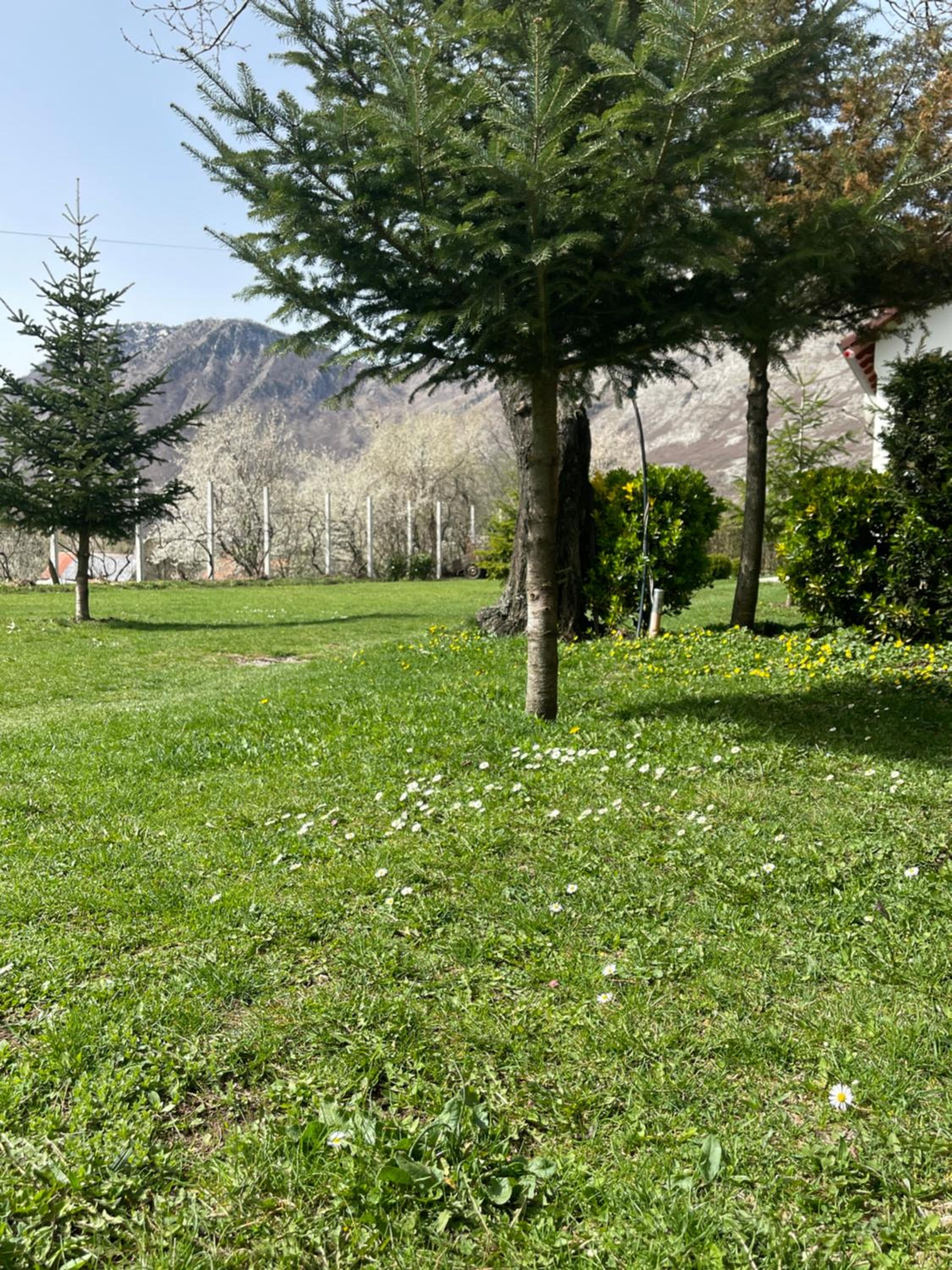 Paja Guesthouse - Camping