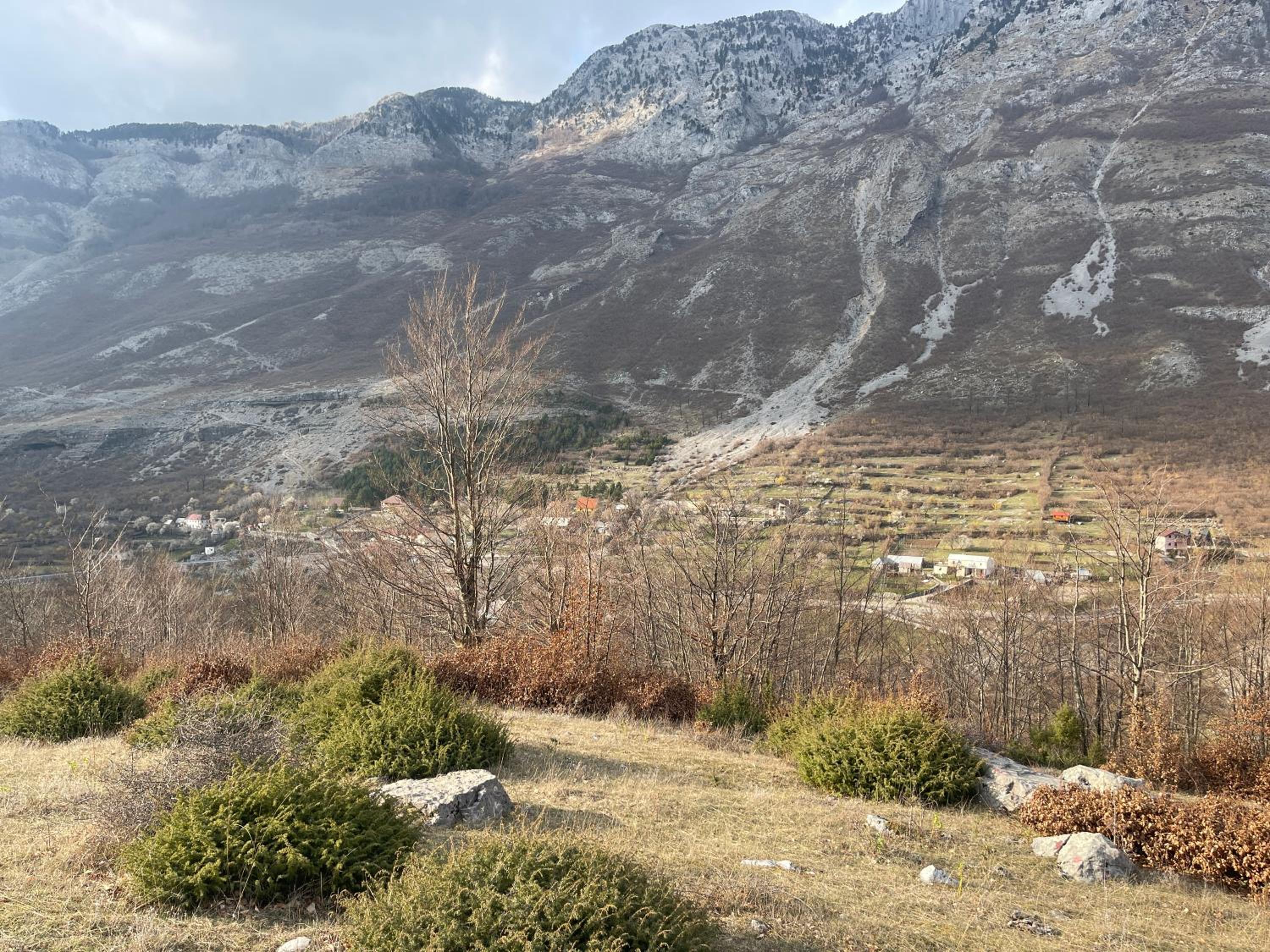 Paja Guesthouse - Camping