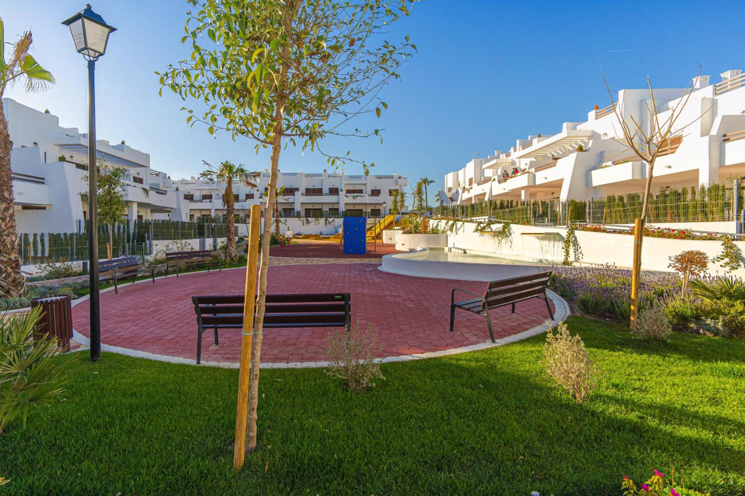 Tortuga Marina