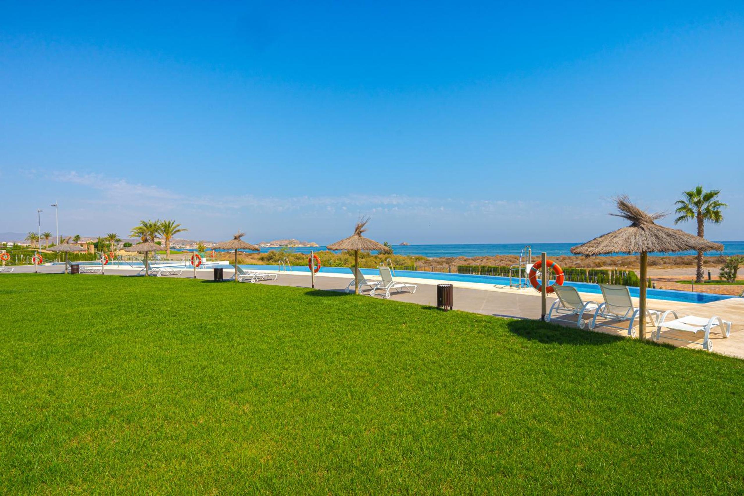 Tortuga Marina