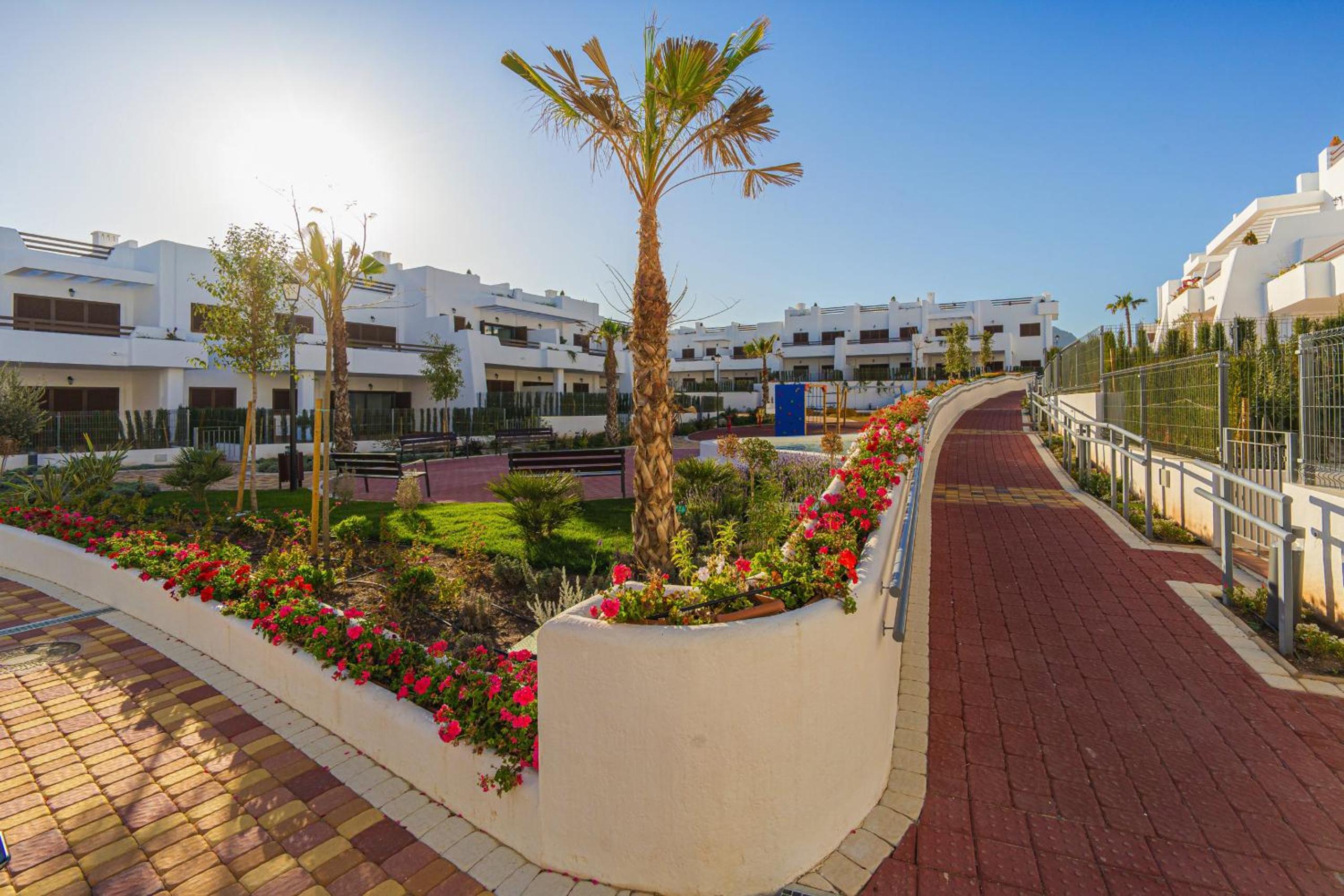 Tortuga Marina