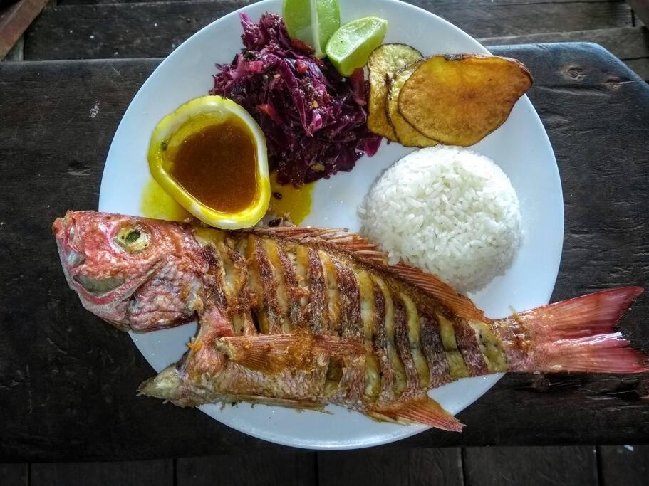 Casa Prana, Termales, Nuqui