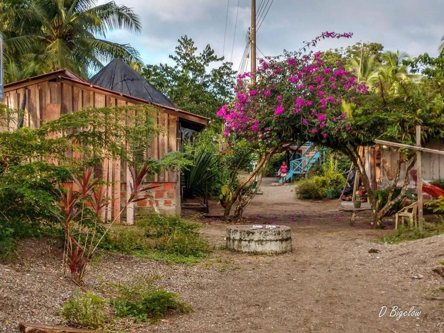 Casa Prana, Termales, Nuqui