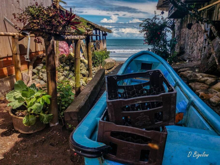Casa Prana, Termales, Nuqui