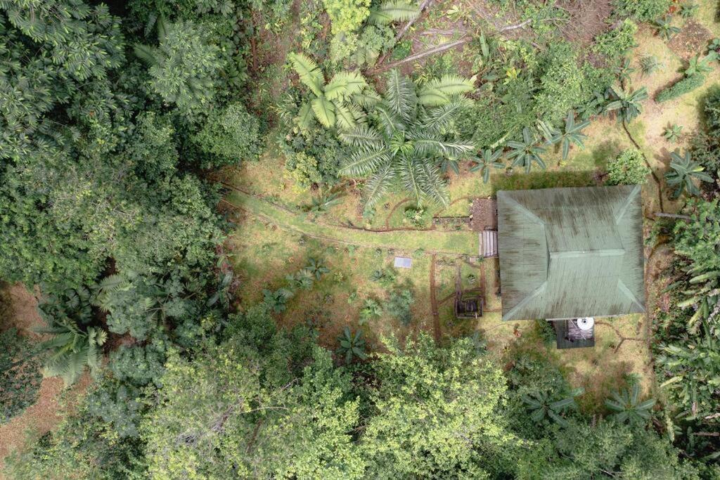 Casa Prana, Termales, Nuqui