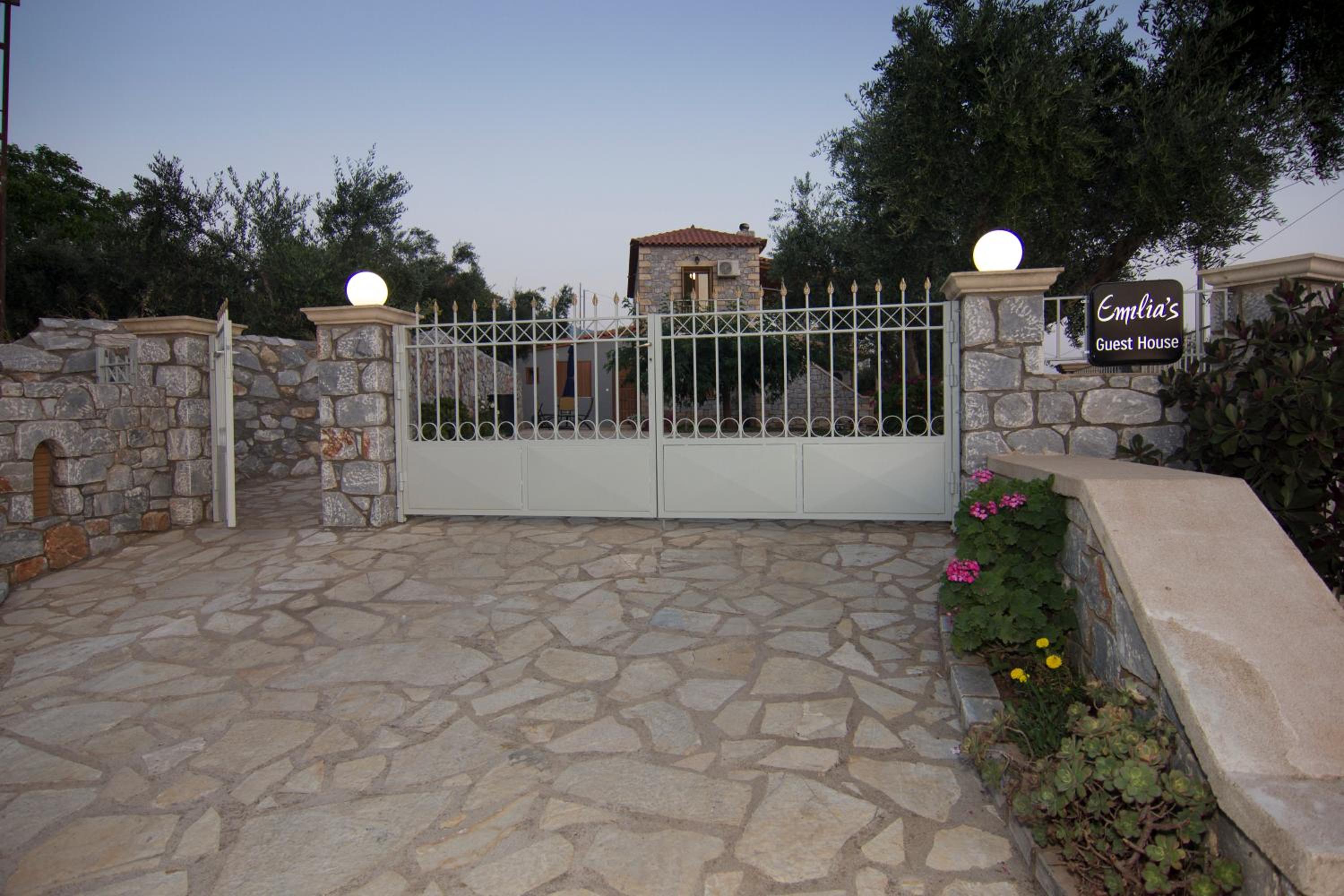 Photo 6