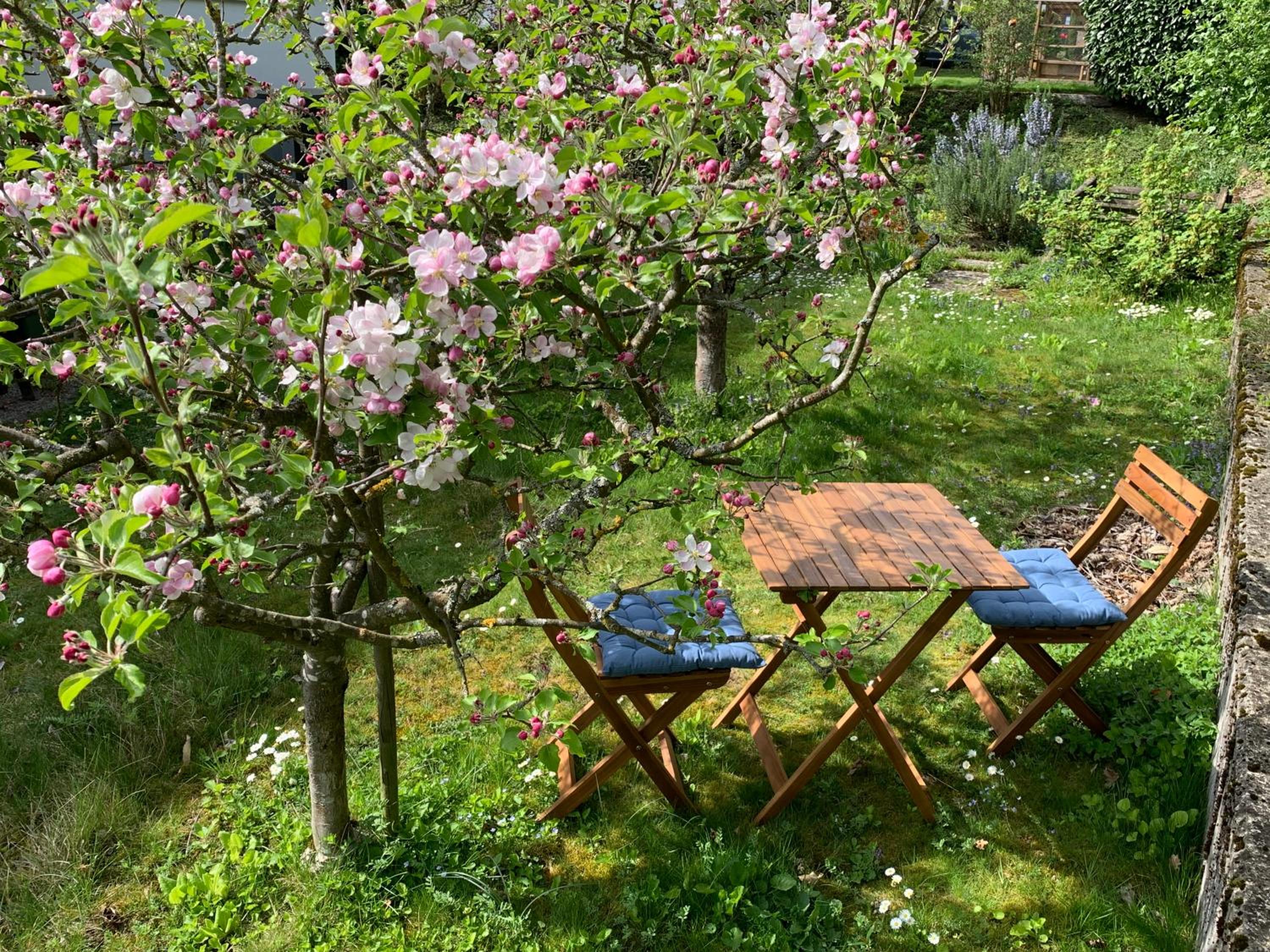 B&B Biel-Brügg