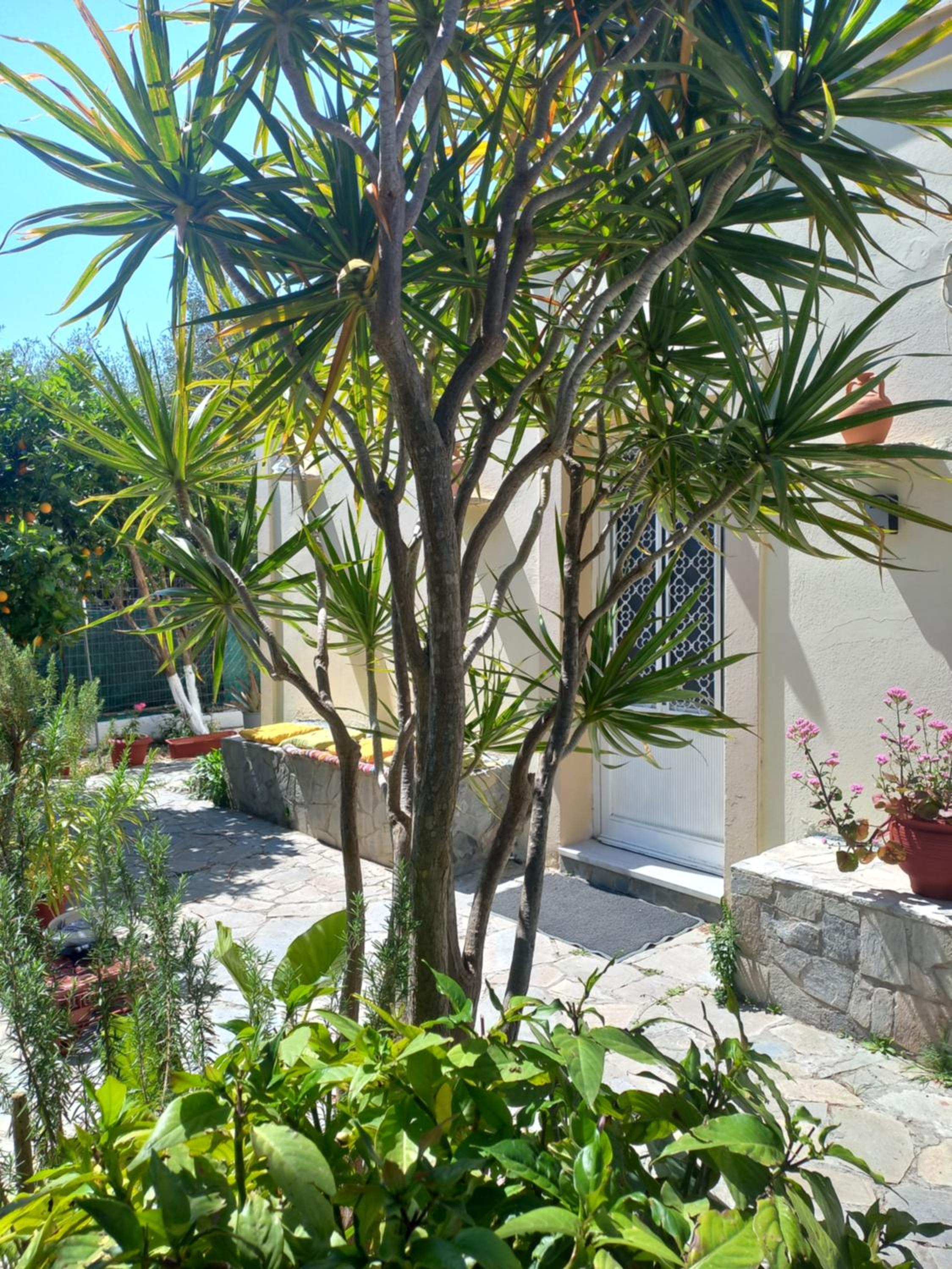 Maria's garden house photo 3