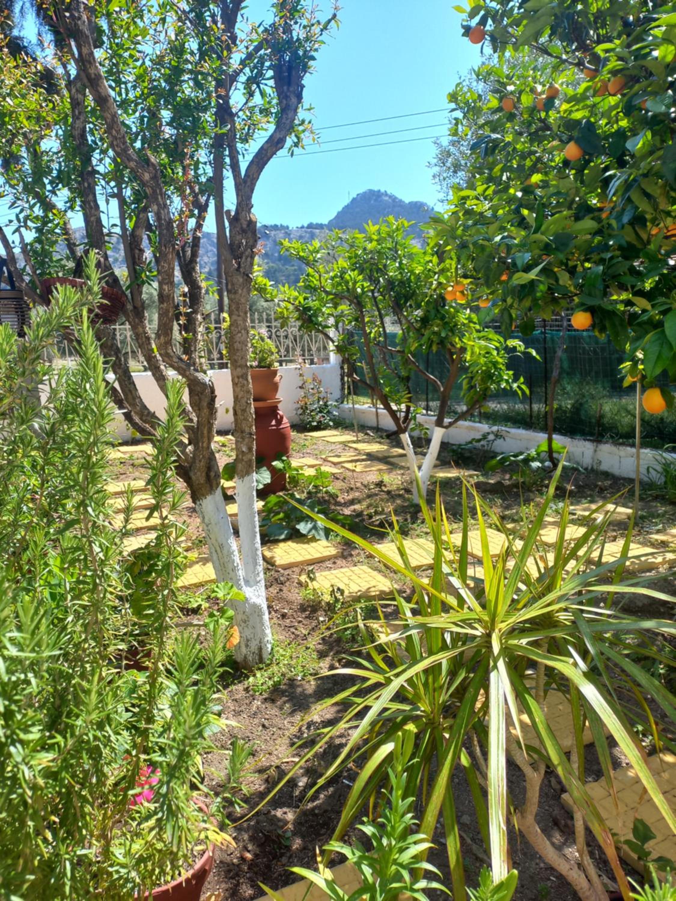 Photo 45