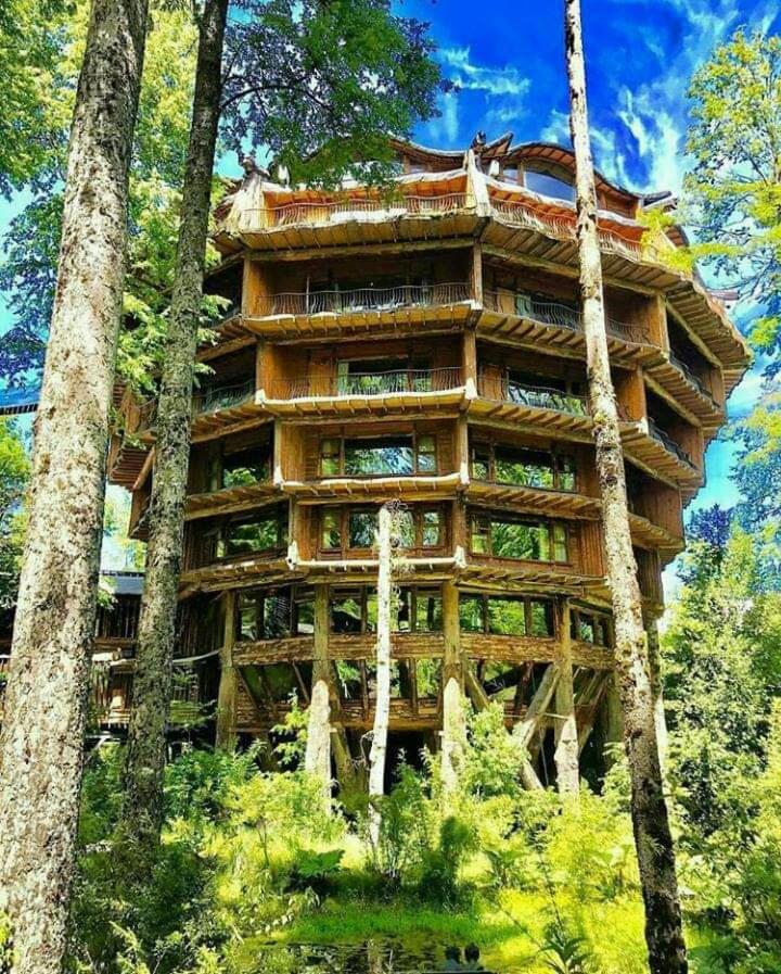 CASITA Neltume huilo huilo Chile