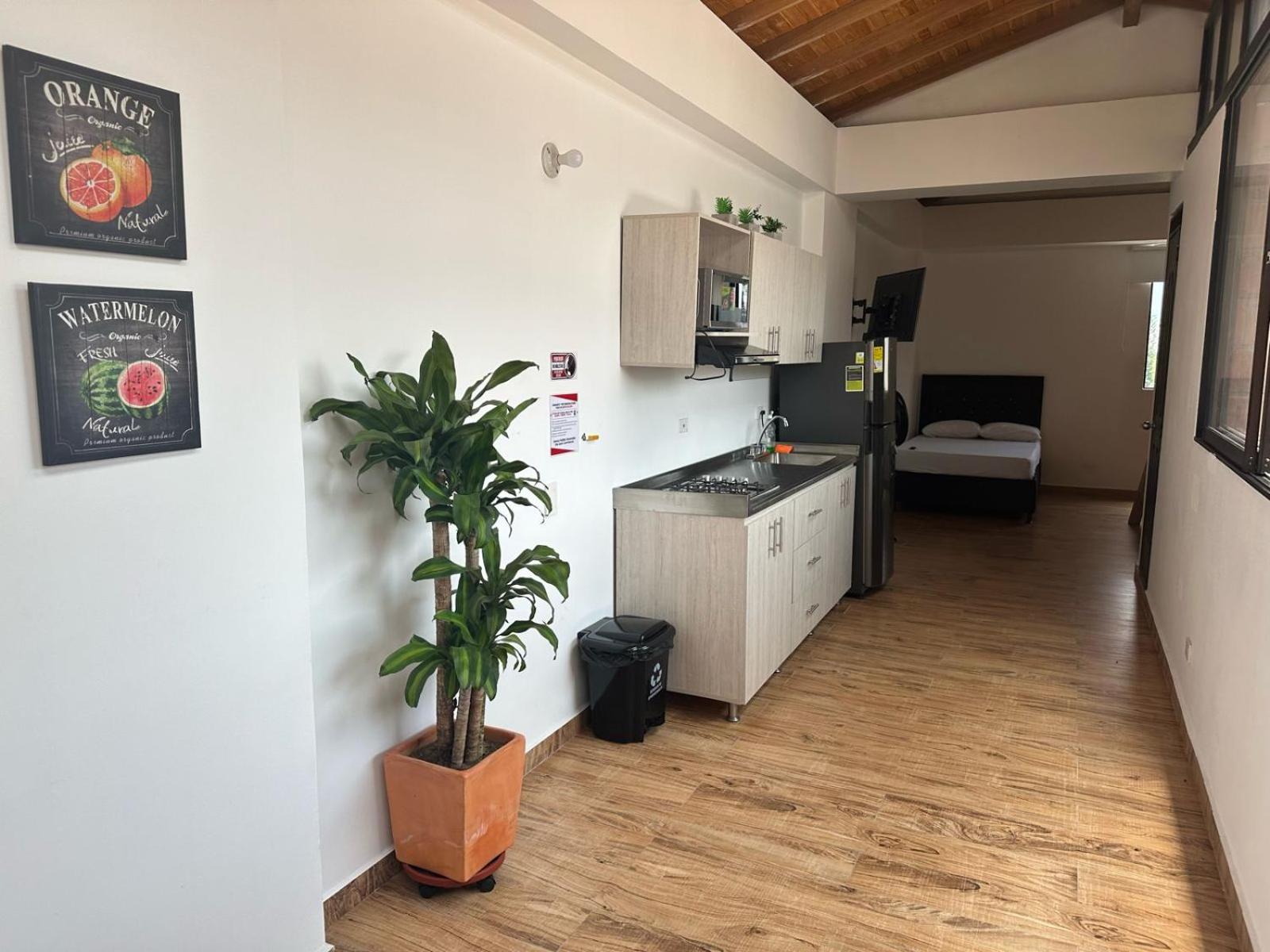 Edificio AF apto floresta 501
