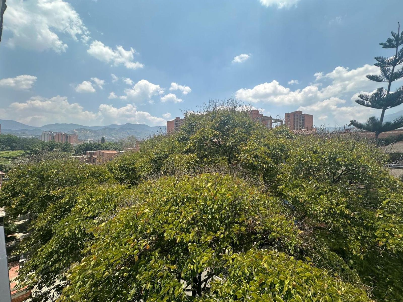 Edificio AF apto floresta 501