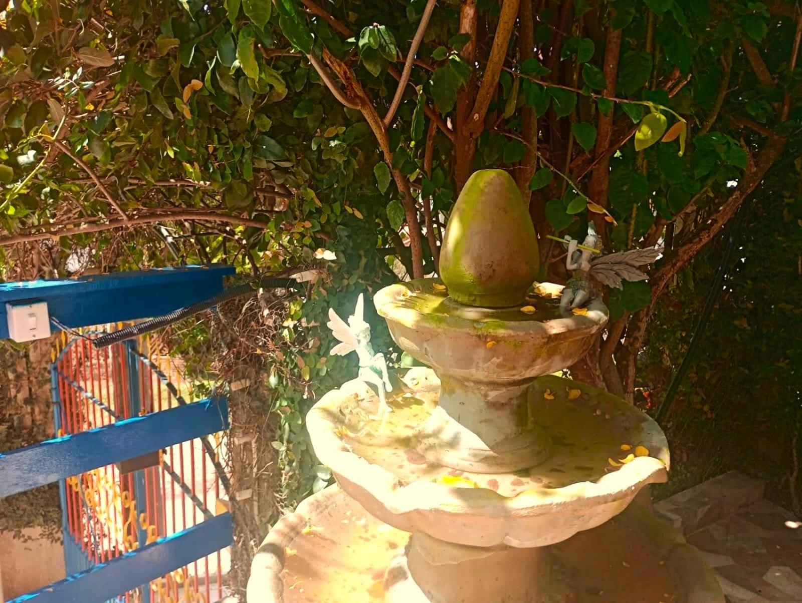 Photo 38