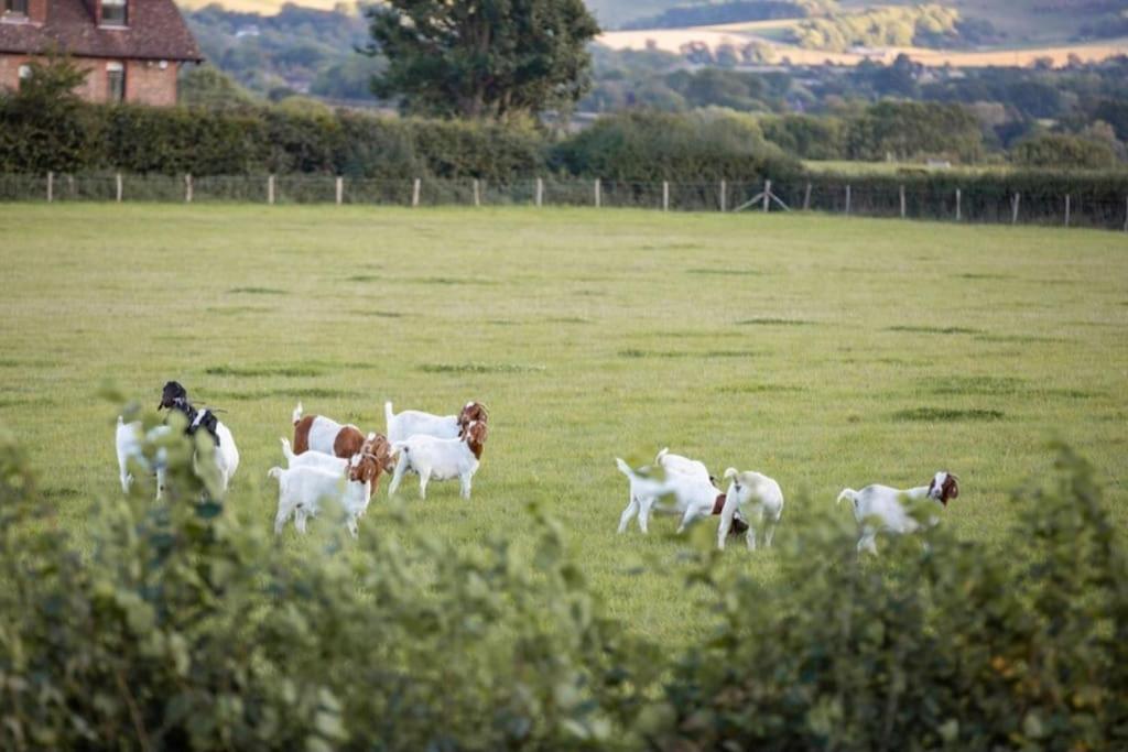 Doeling Barcombe