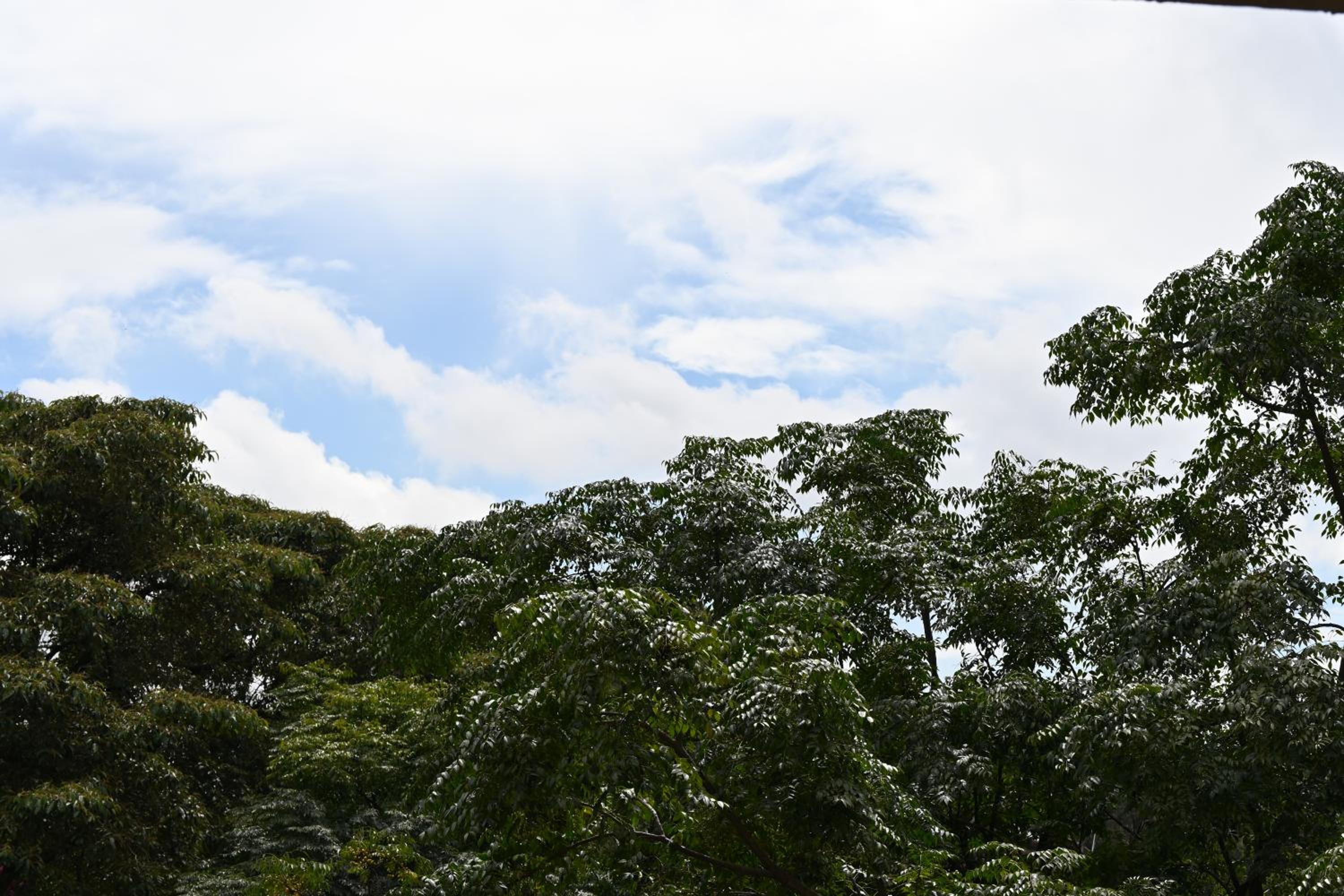 Aurora Homestay Kenya