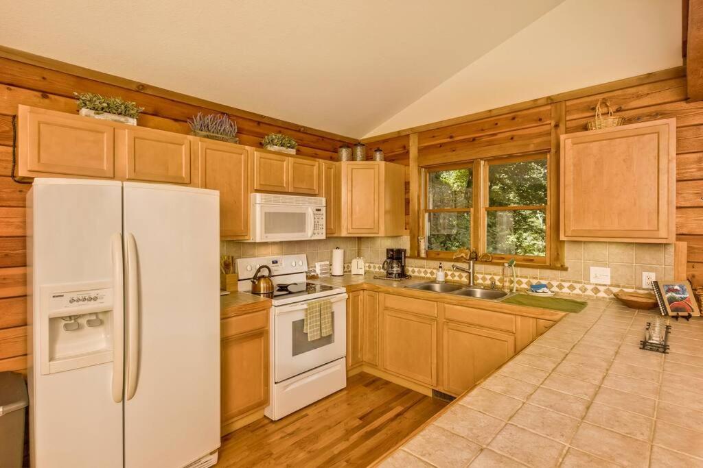 Top of the Line Asheville Mountain Cabin view 4