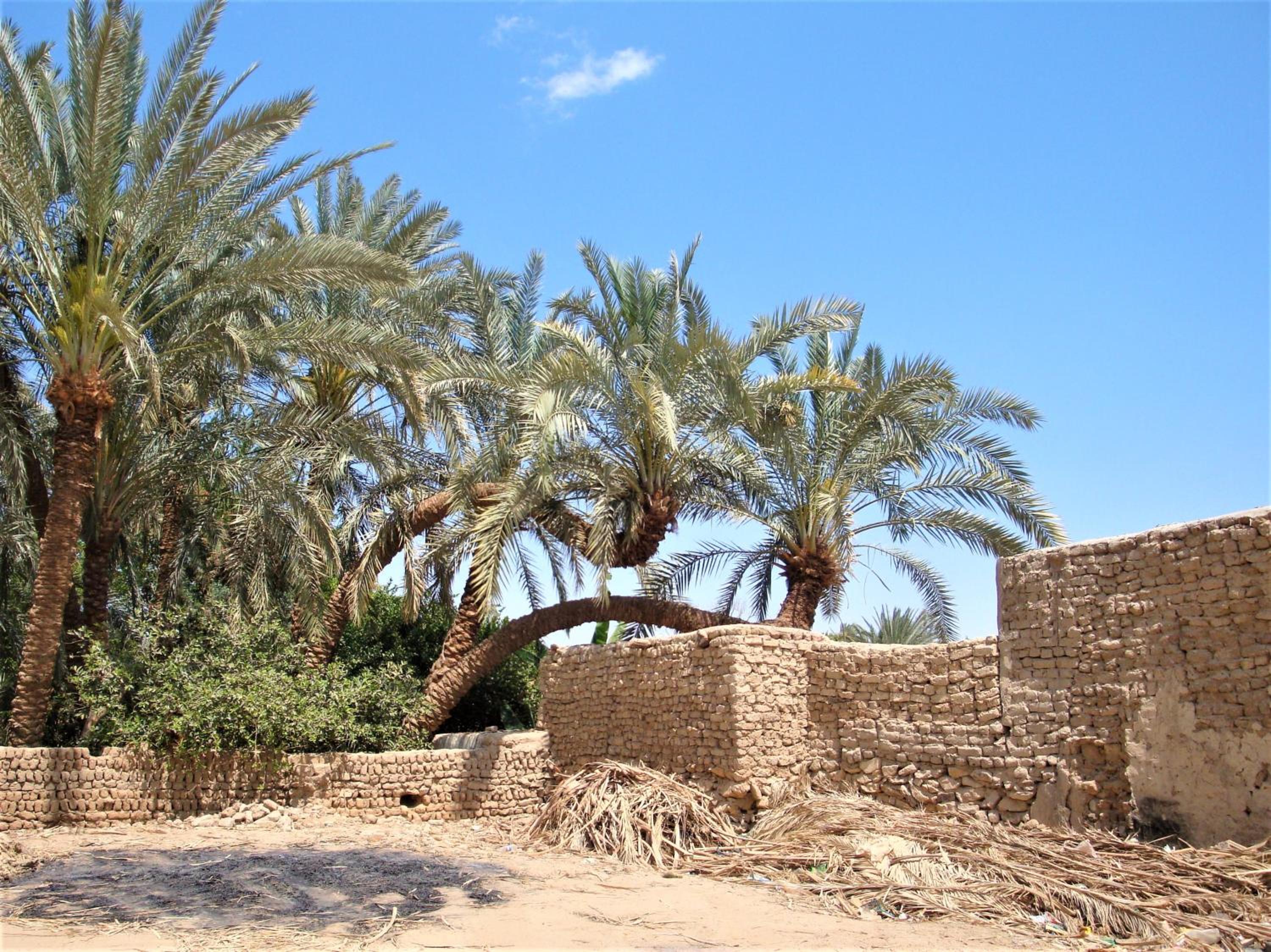 El Beyt Farmhotel