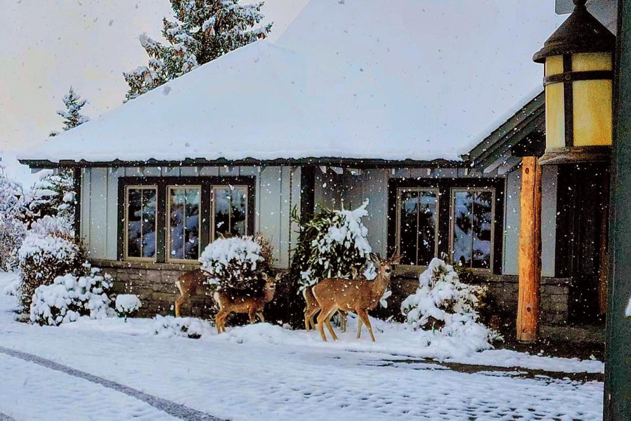 Ironstone Lodge - Luxury Living and Mountain Views view 3