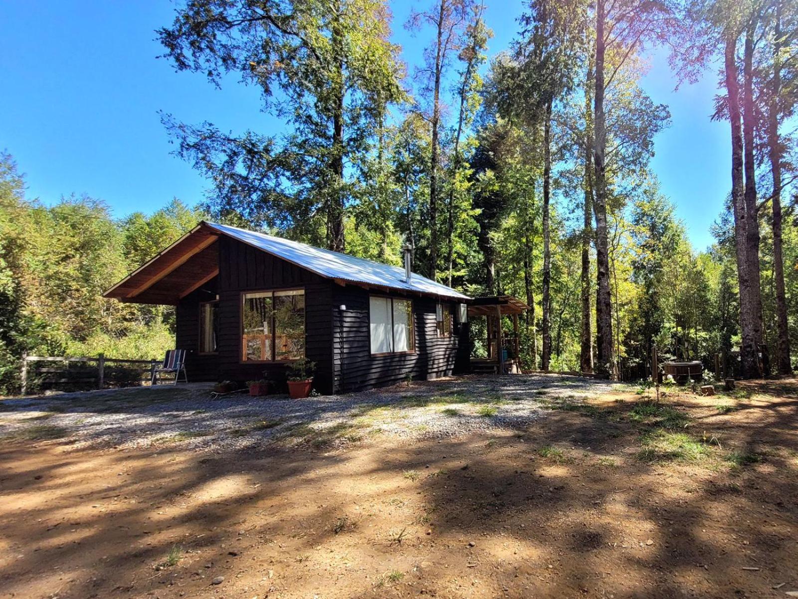 Cabaña el bosque nativo