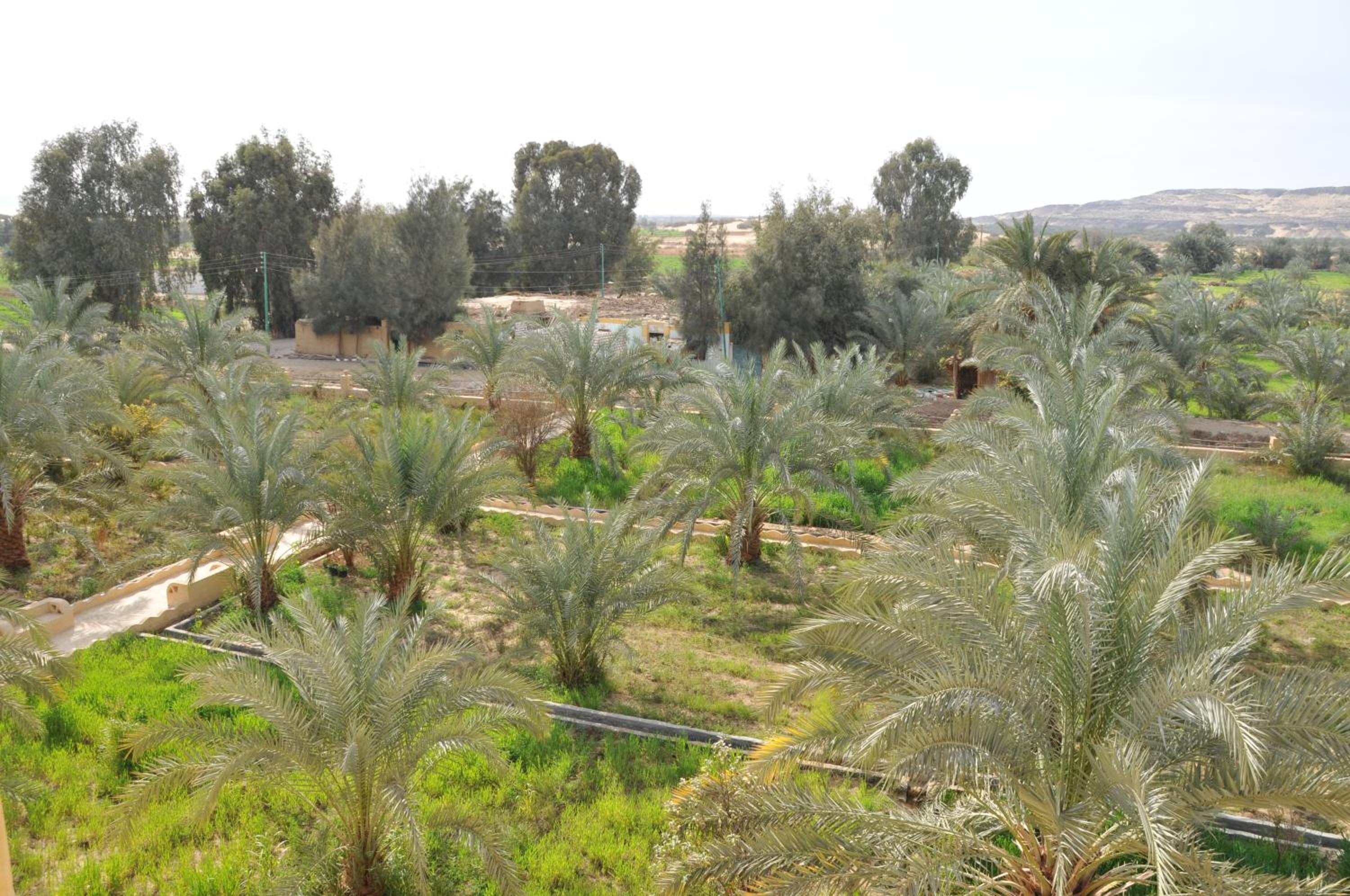El Beyt Farmhotel
