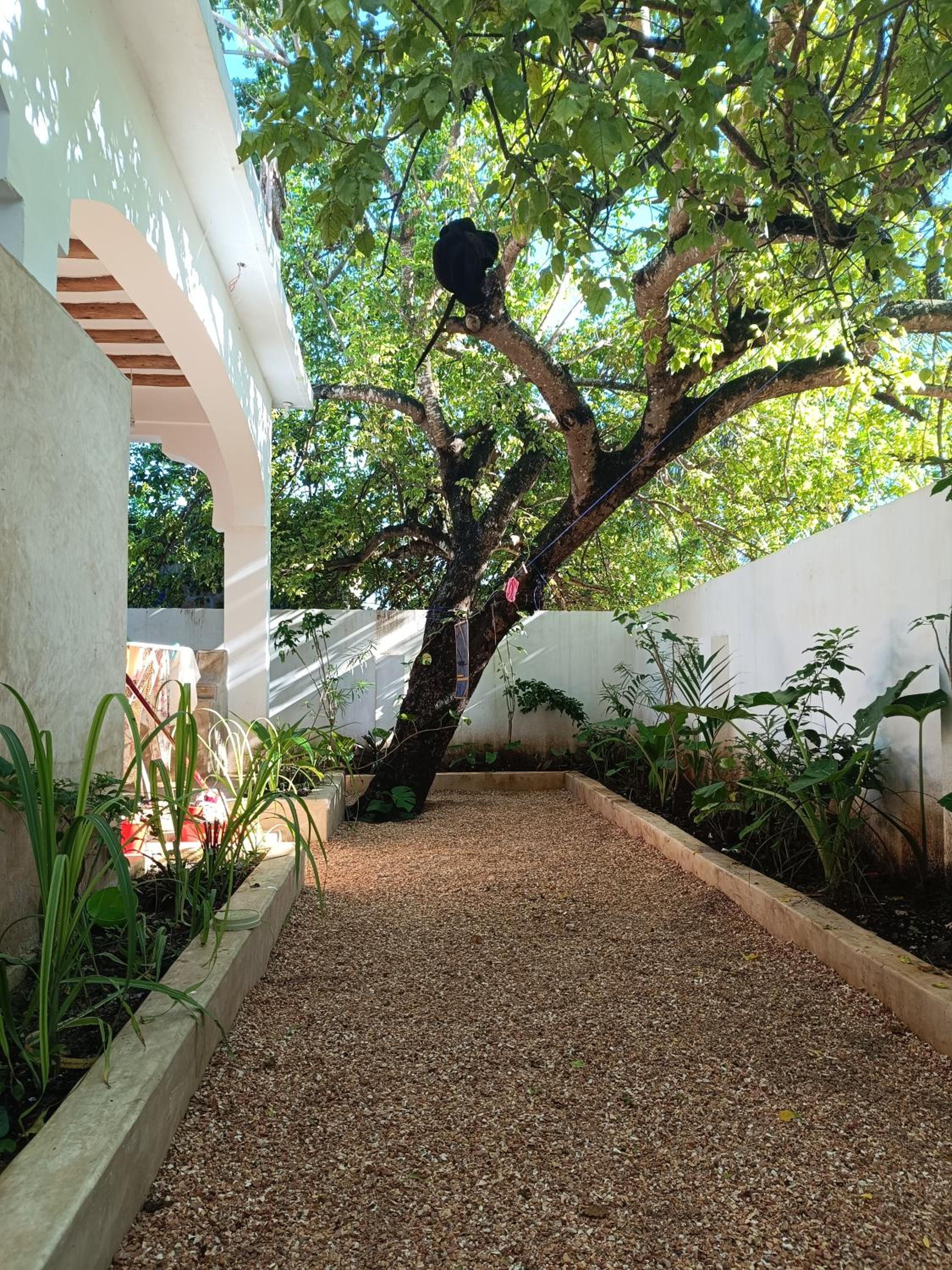 Mgongo tree house view 3