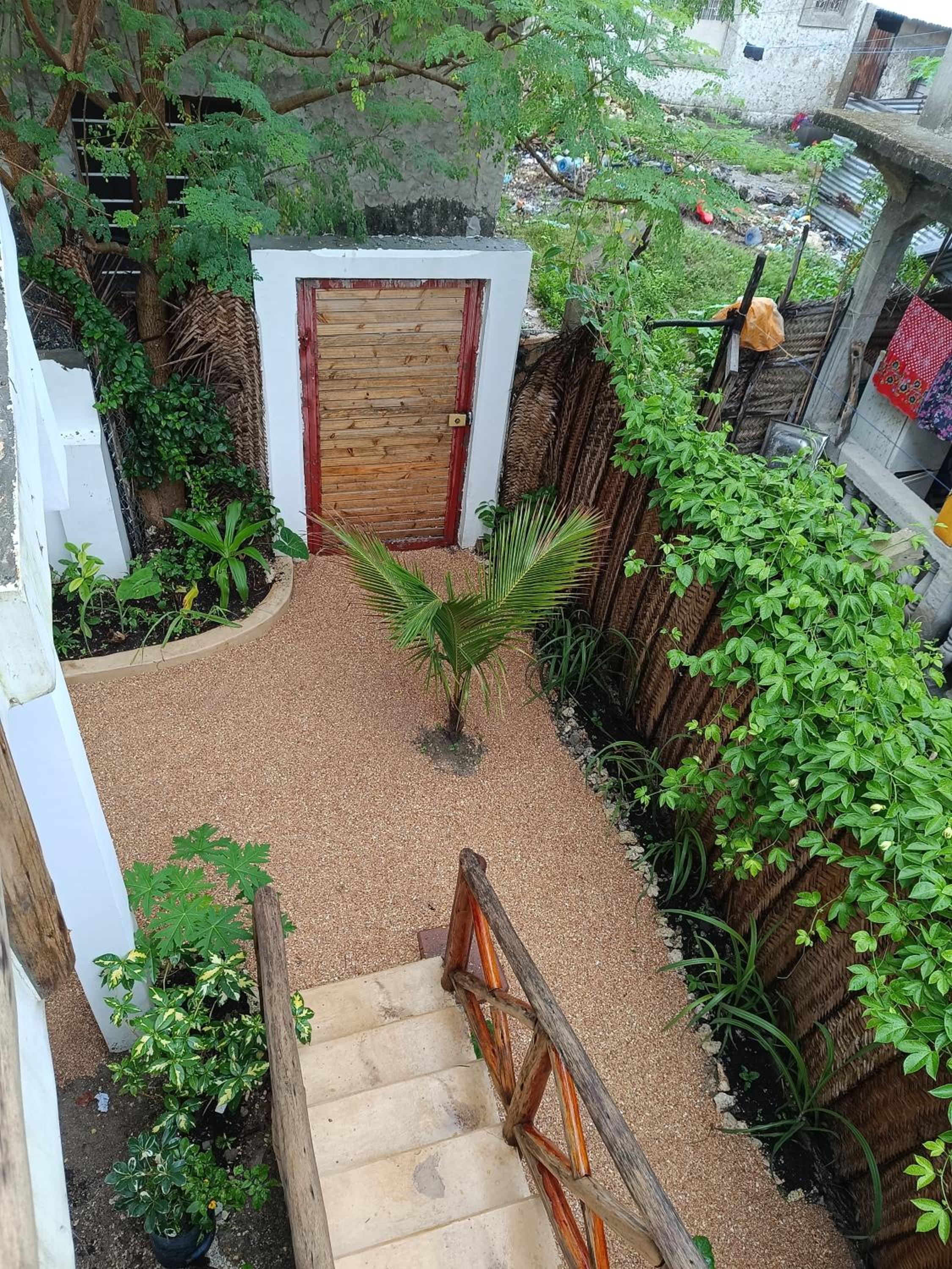 Photo 8
