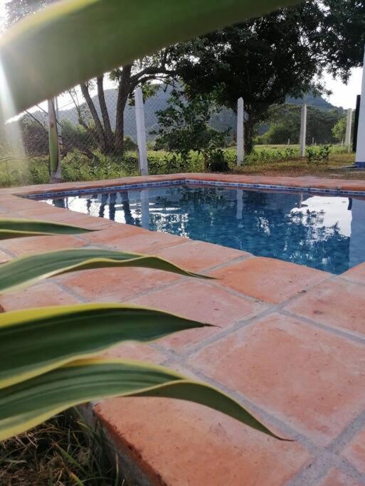 Villa de las Palmas