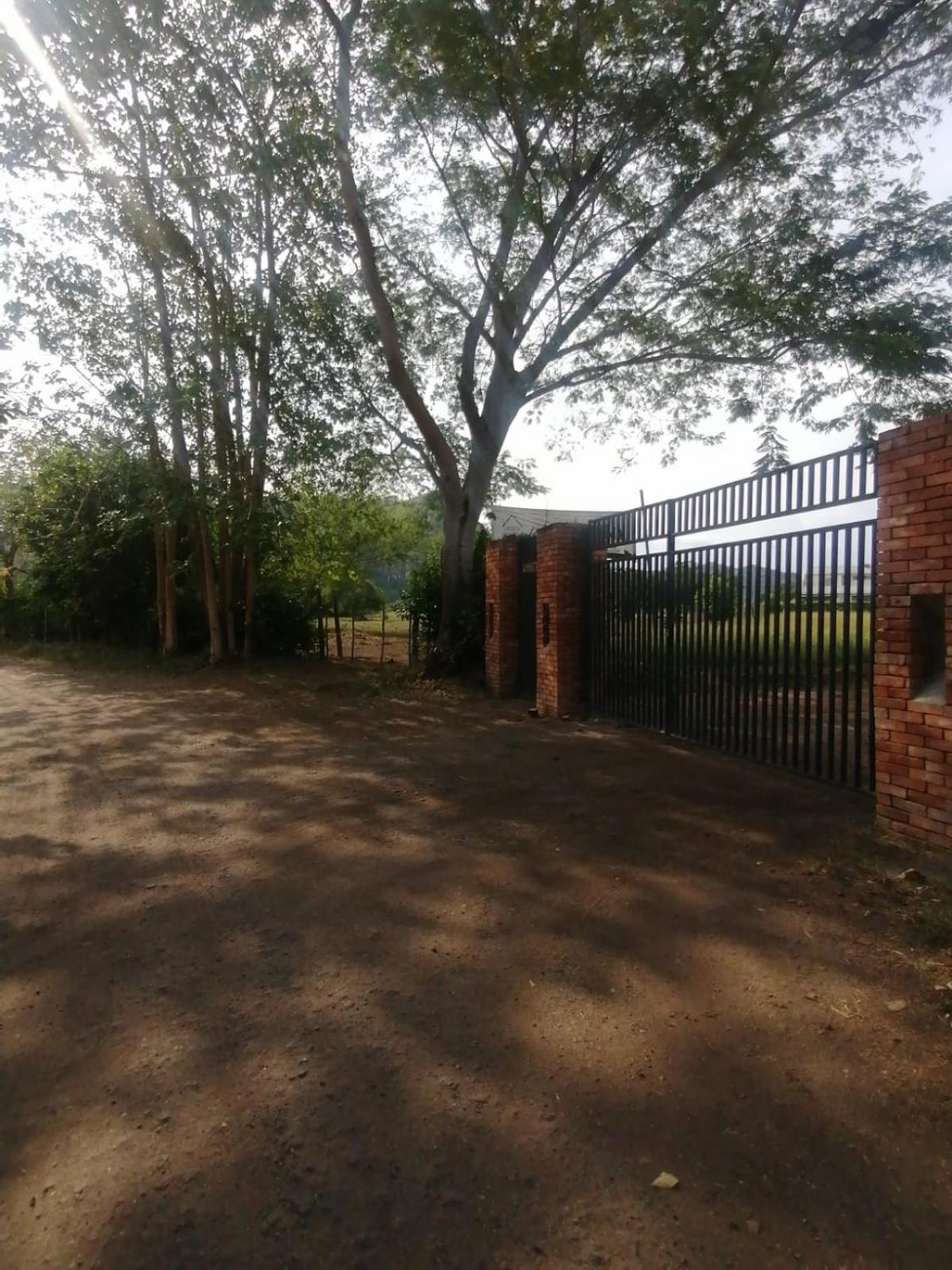 Villa de las Palmas