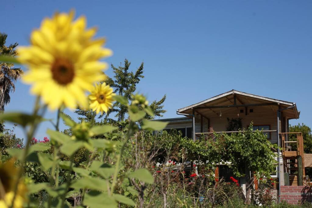 Posada Al Río
