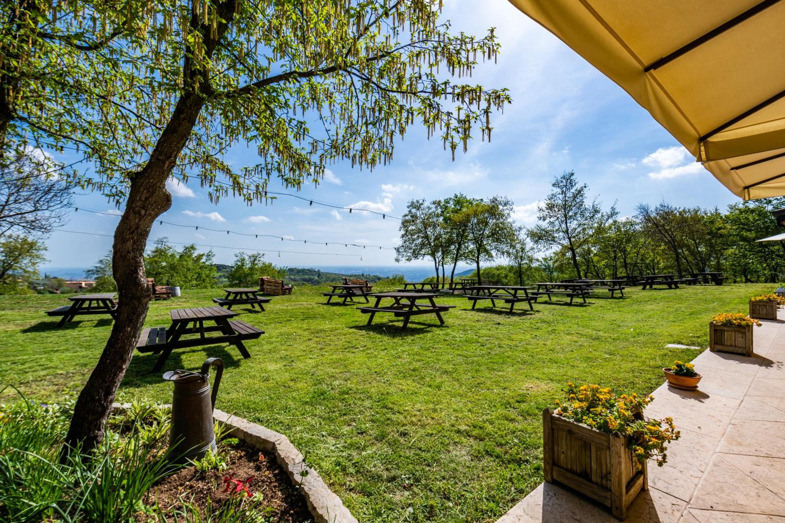 Agriturismo il Porcellino