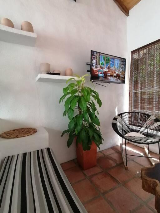 Casa de las Palmas
