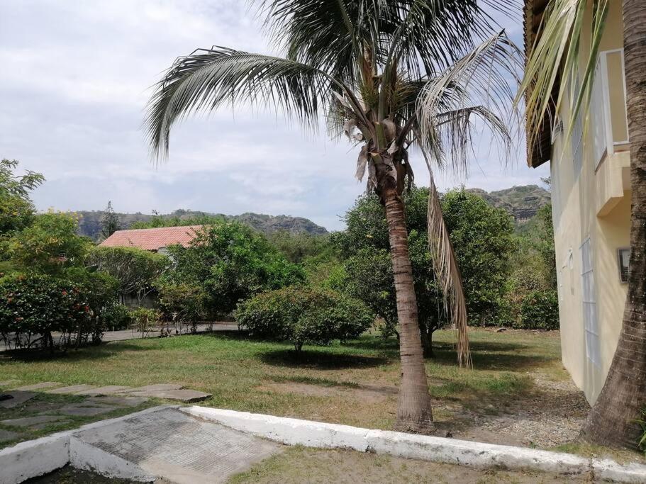 Casa de las Palmas