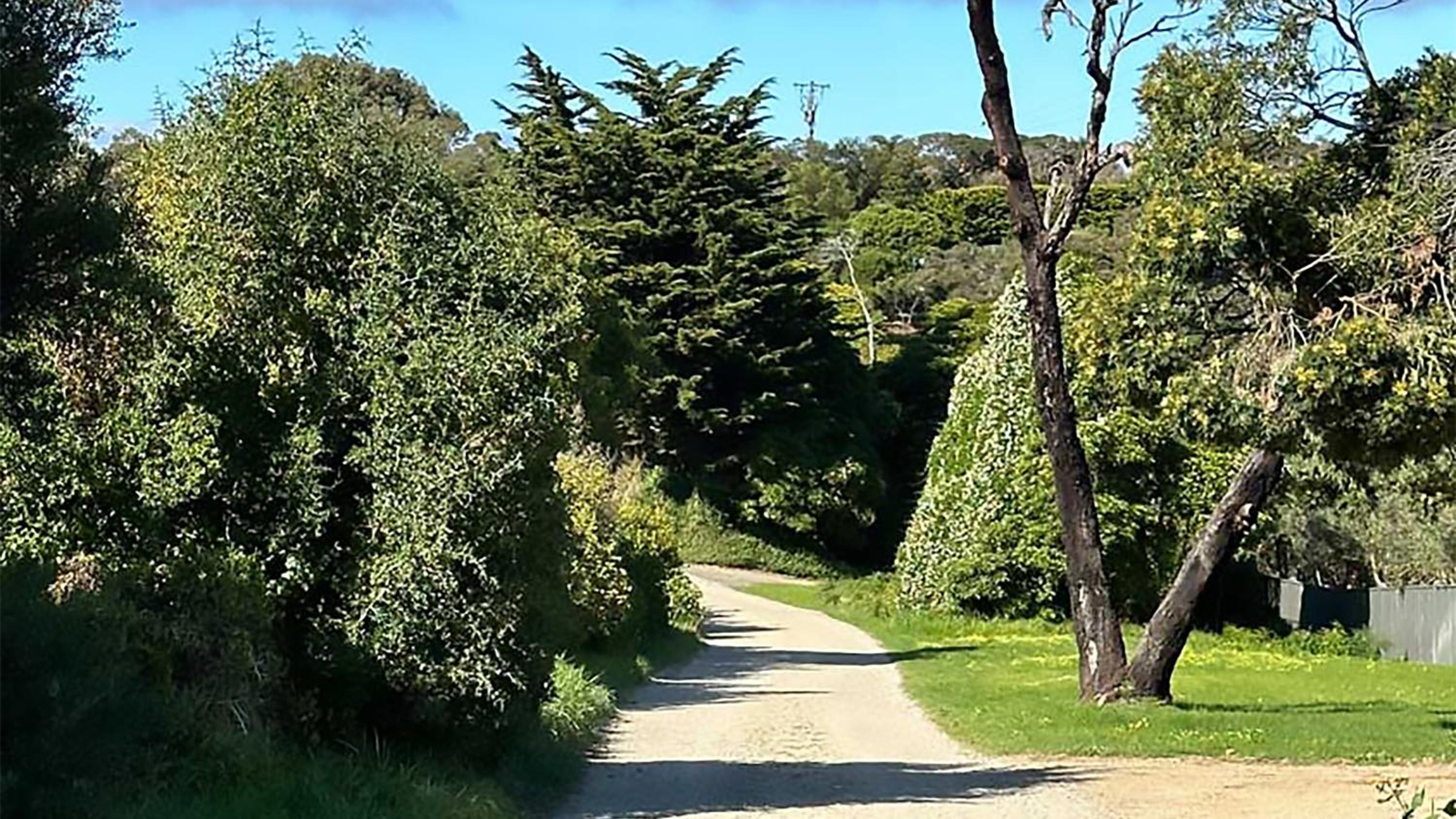 Portsea Shingle House