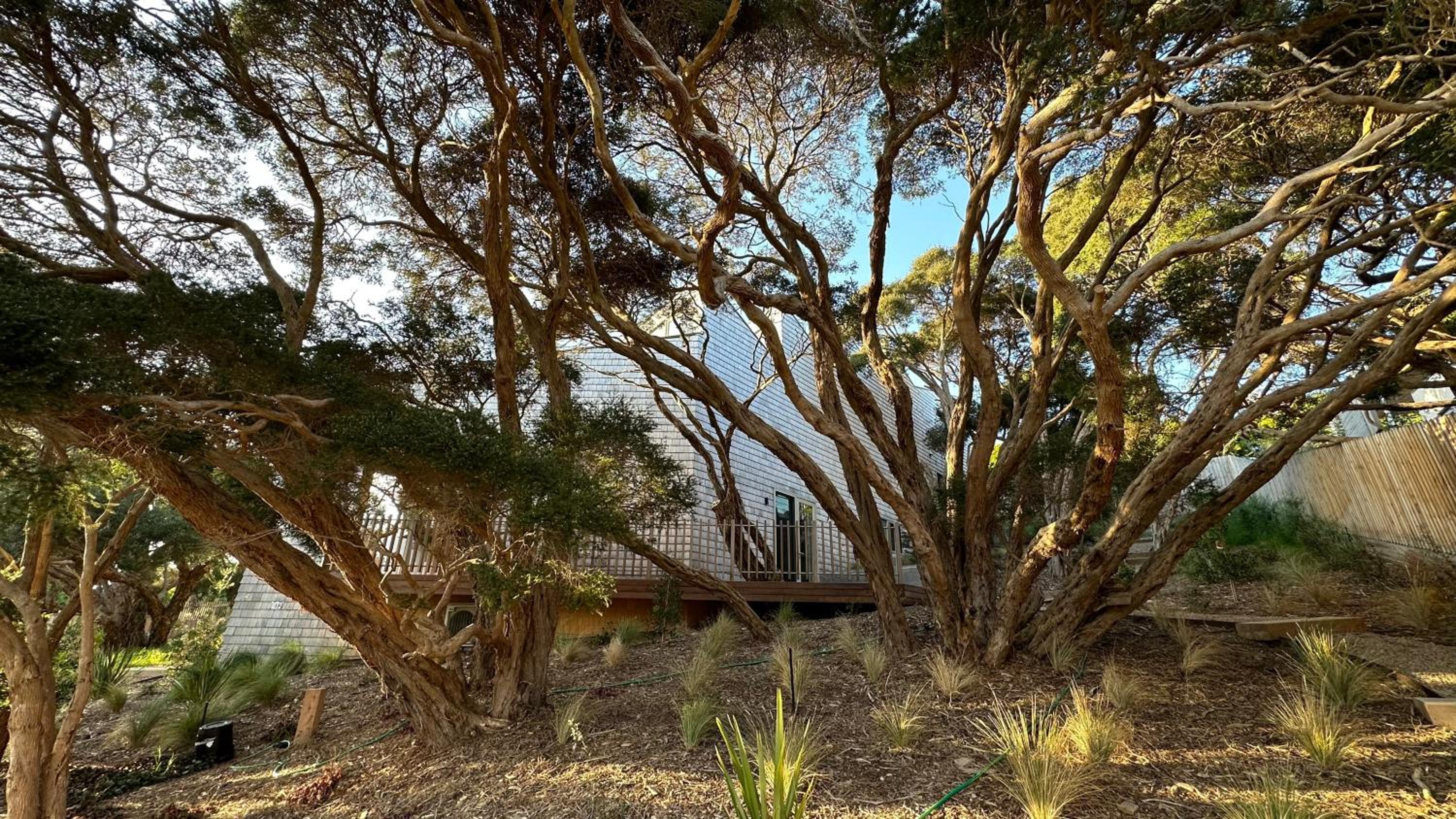 Portsea Shingle House