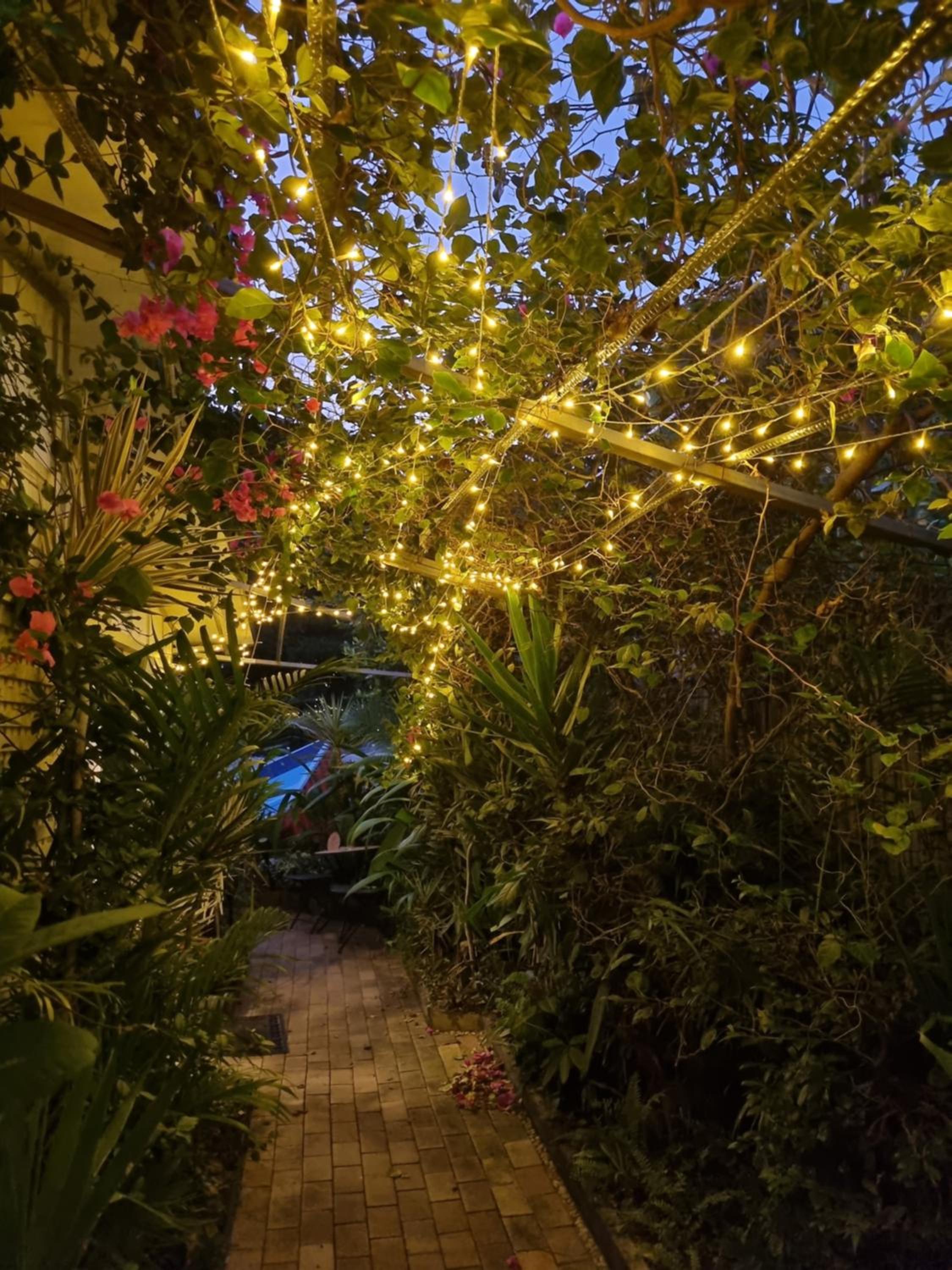 HOMESTAY - Foreign Backpackers 18-36 yrs ONLY