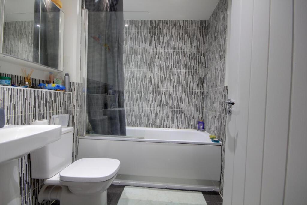 Specious modern 3-bed house near city centre view 5