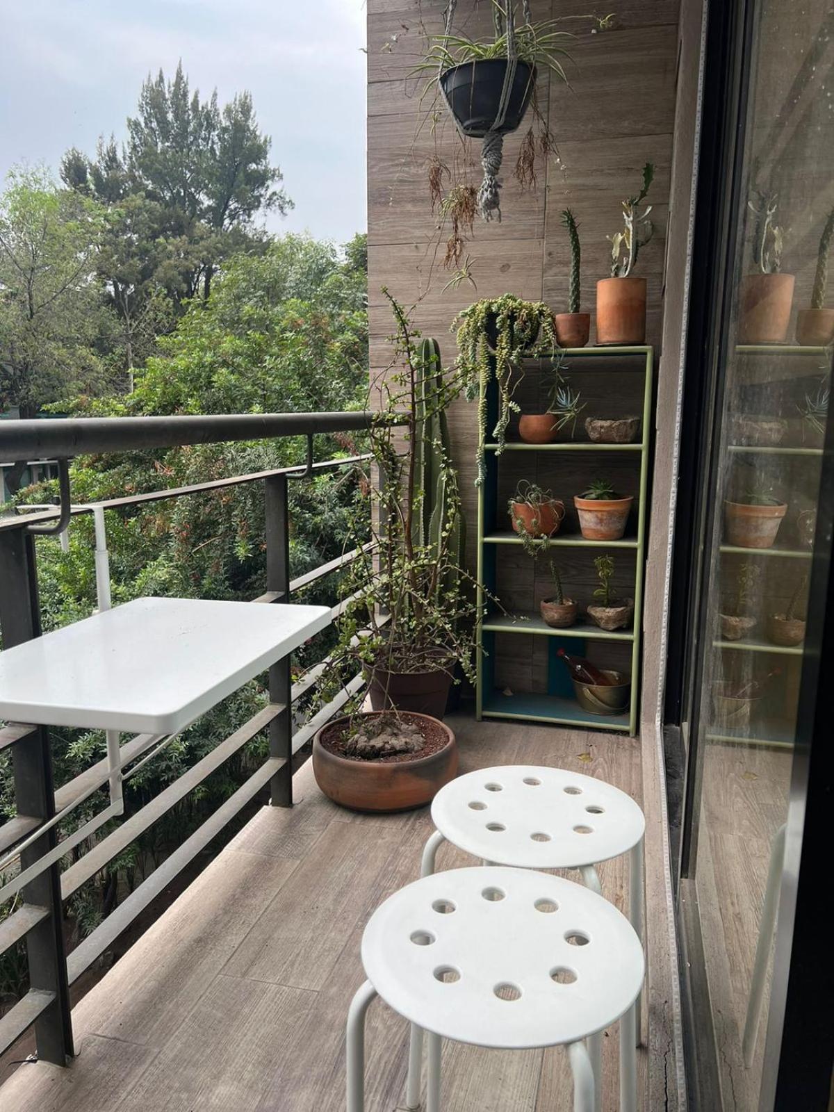 apartamento vivalto — Mexico City