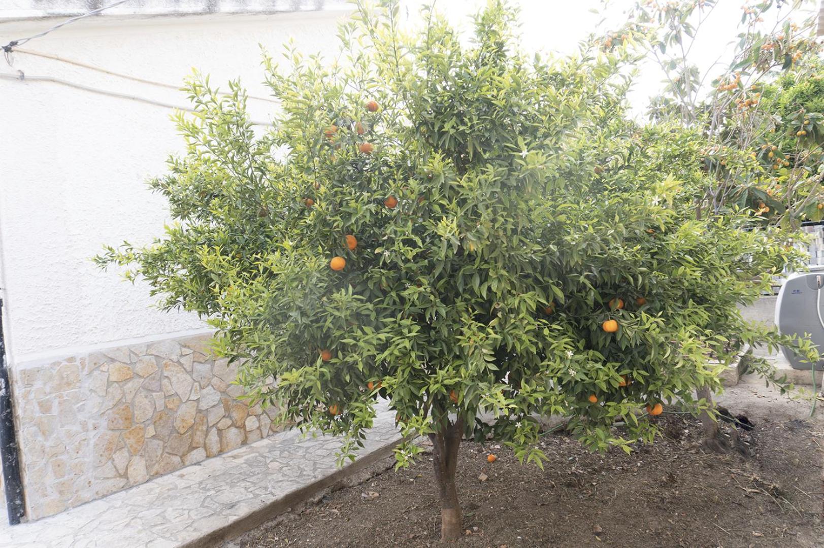 Villino Giulia