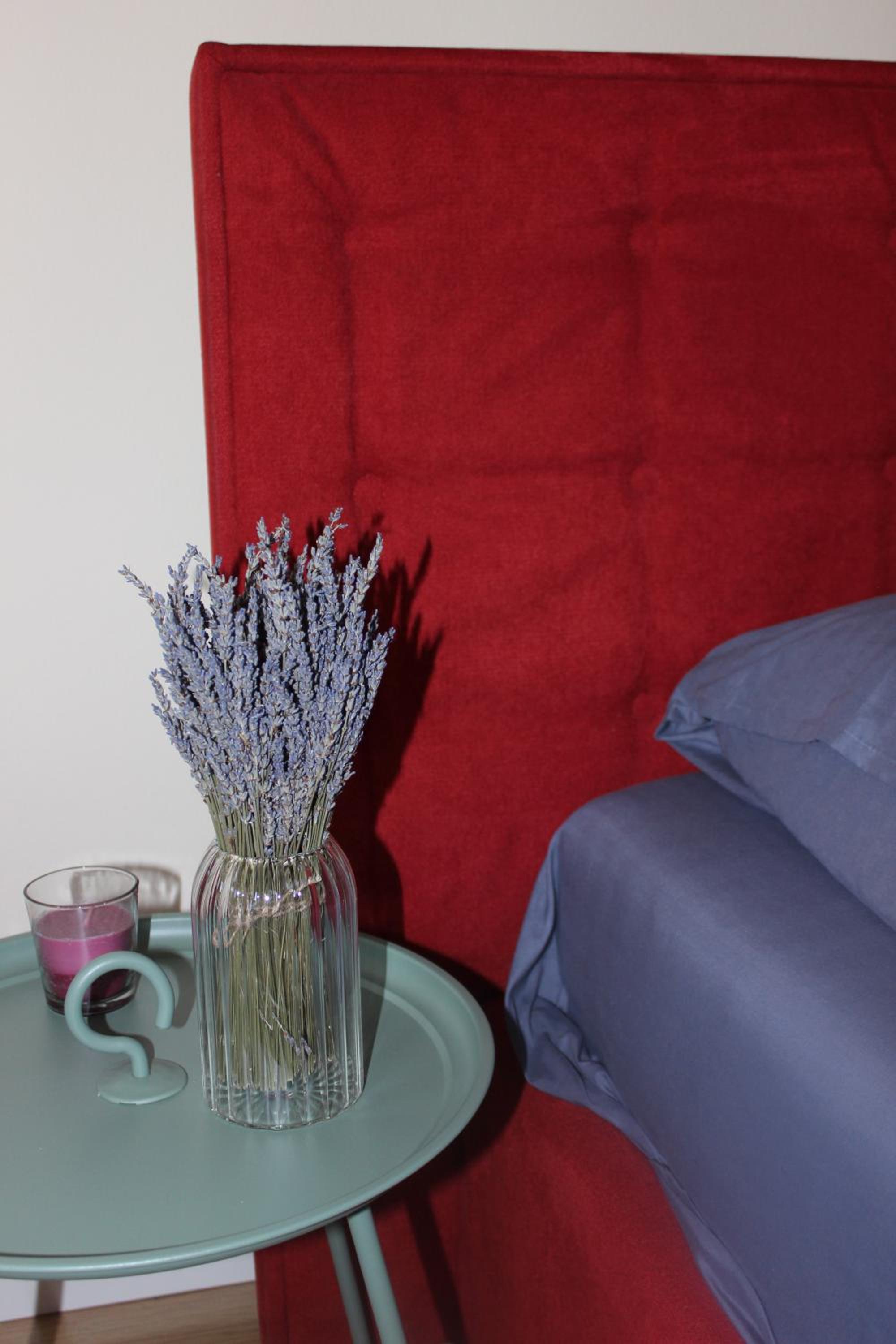 Lavandula