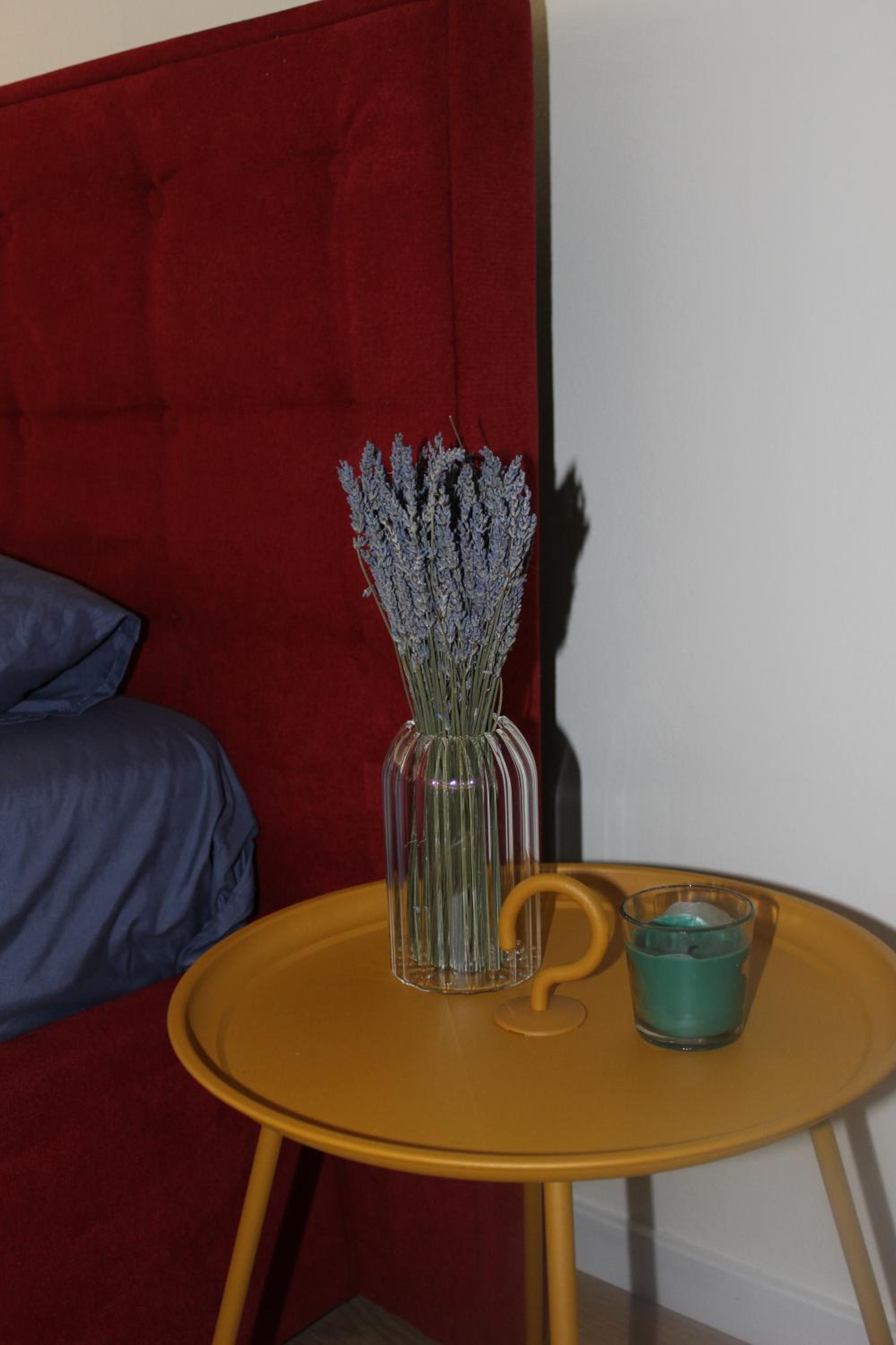 Lavandula