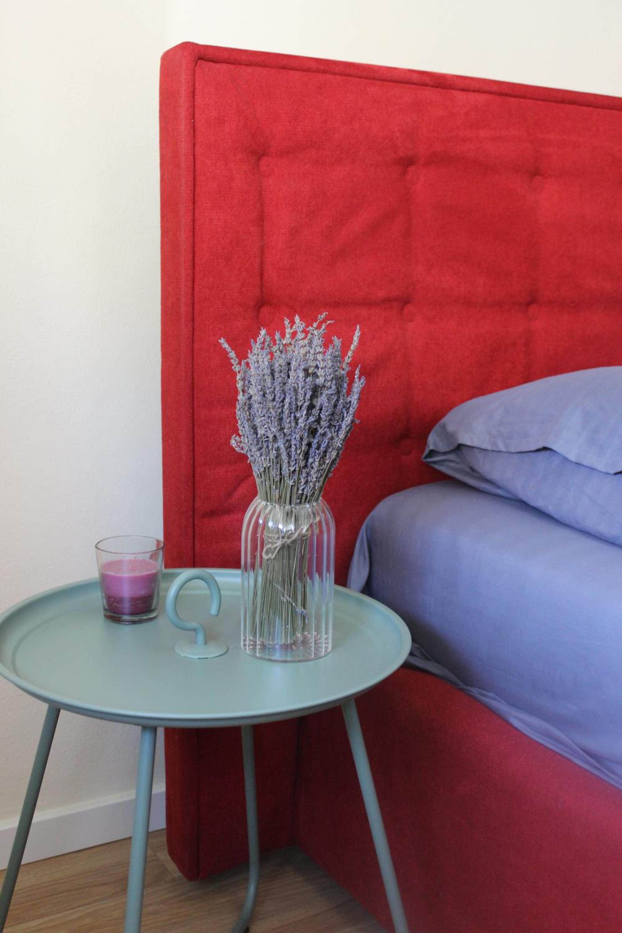 Lavandula