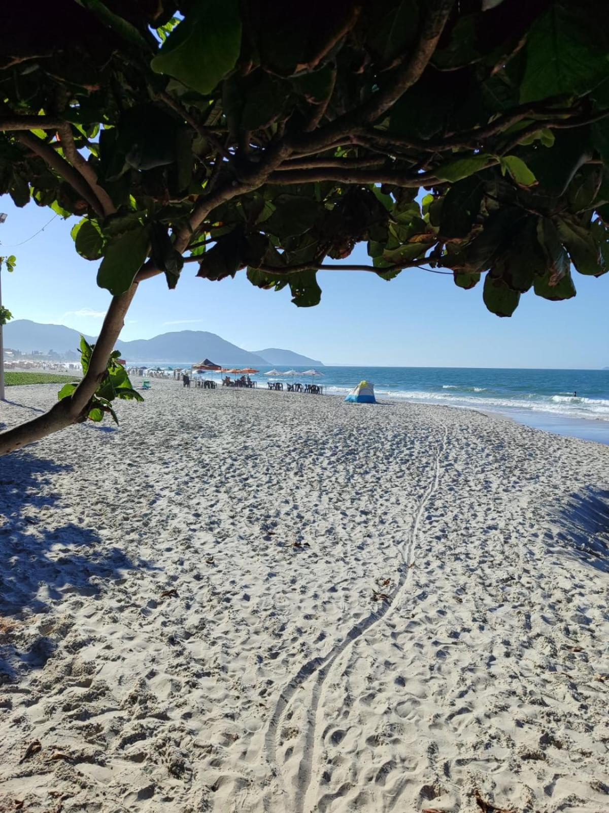 Apartamento de 2 dormitórios