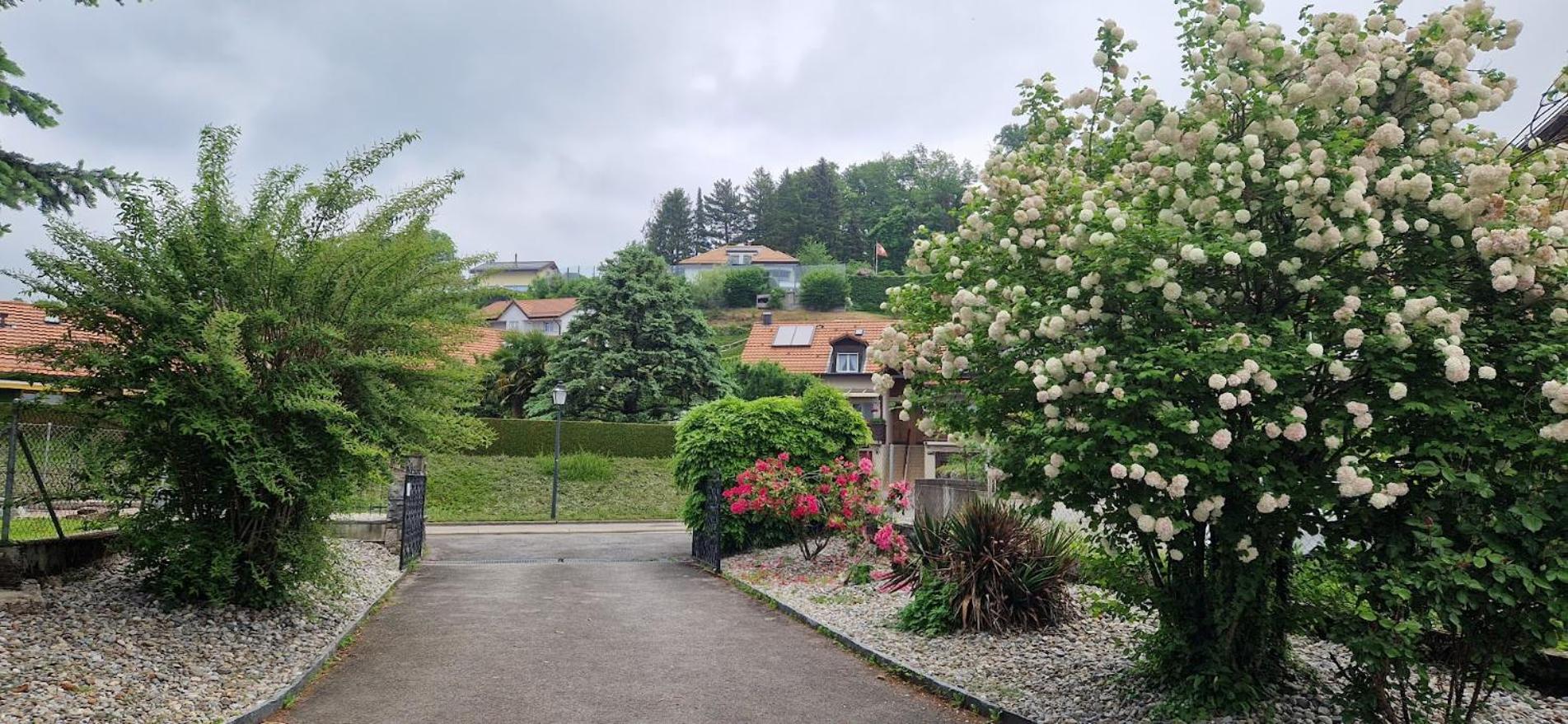 Coeur du Léman