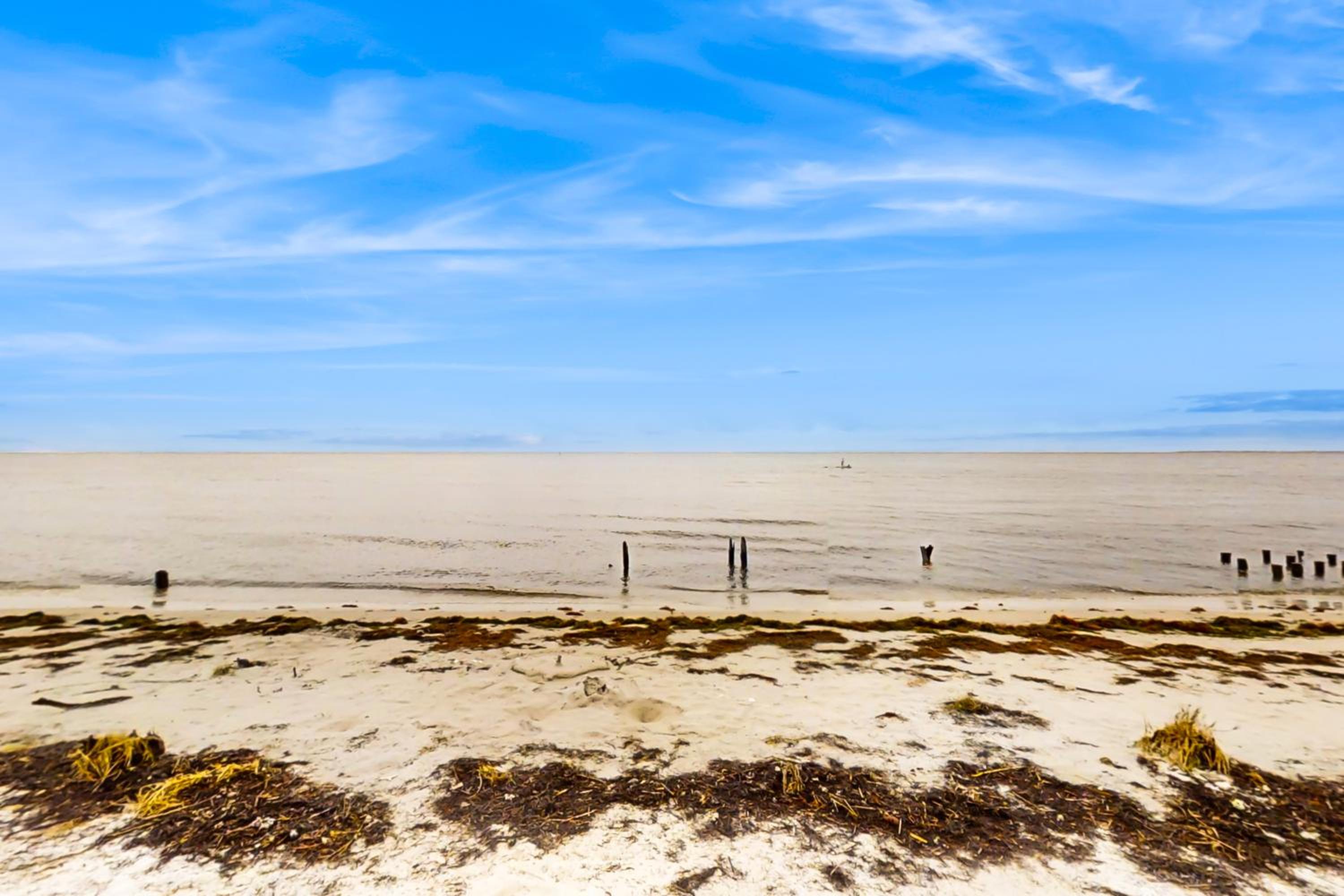 Bring Your Pets, Walk to Beach! St Teresa Haven