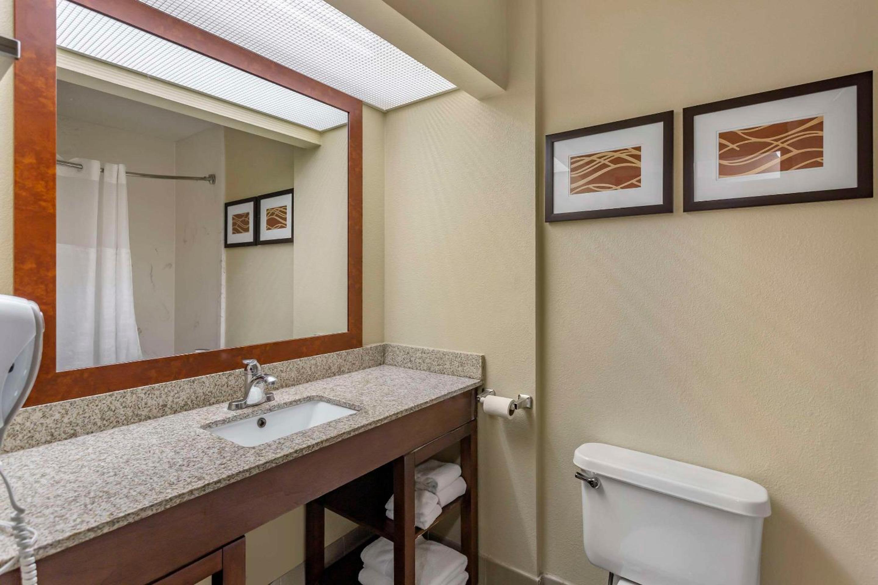 Comfort Suites At Rivergate Mall - Property Image 16