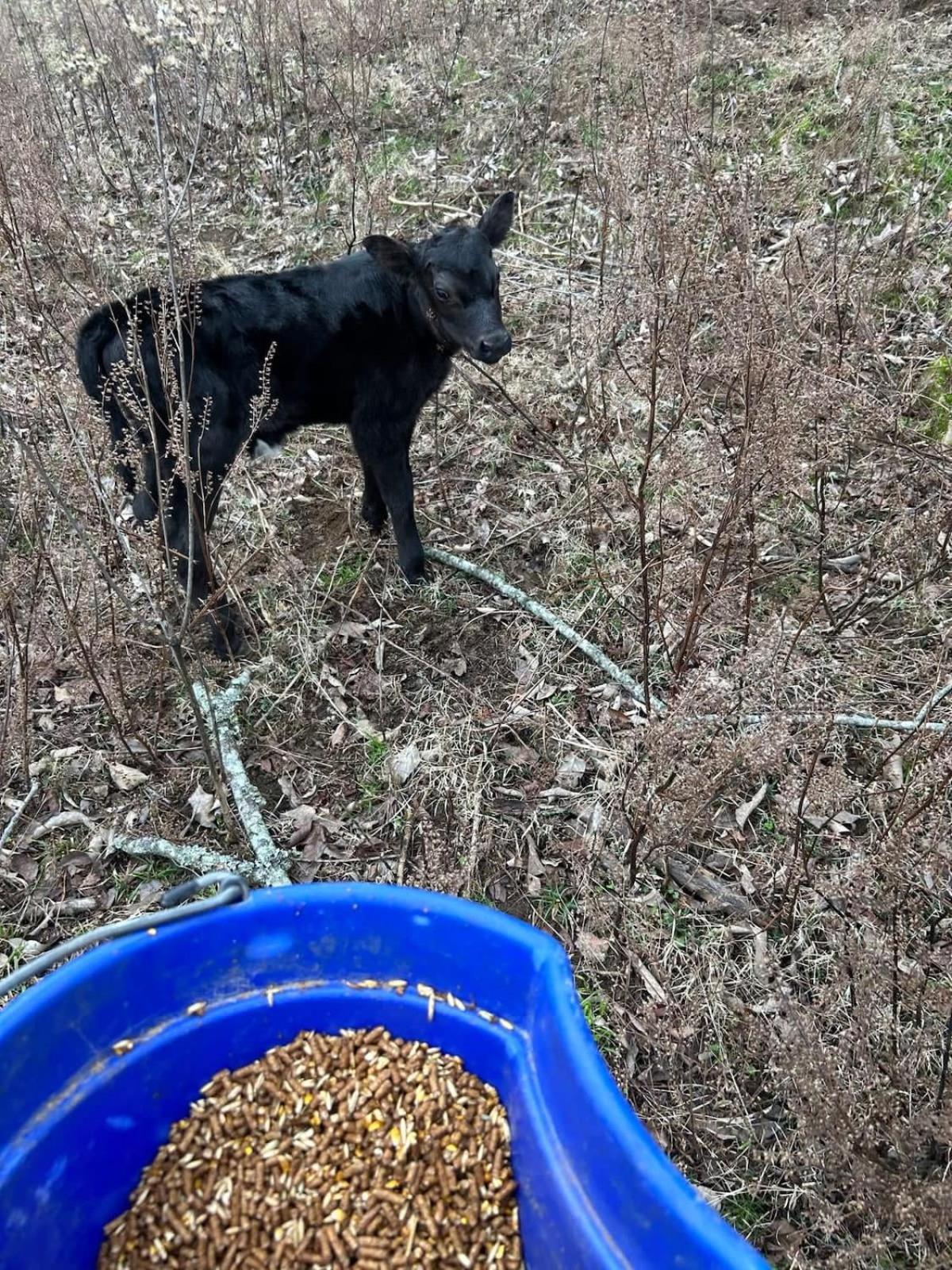 other