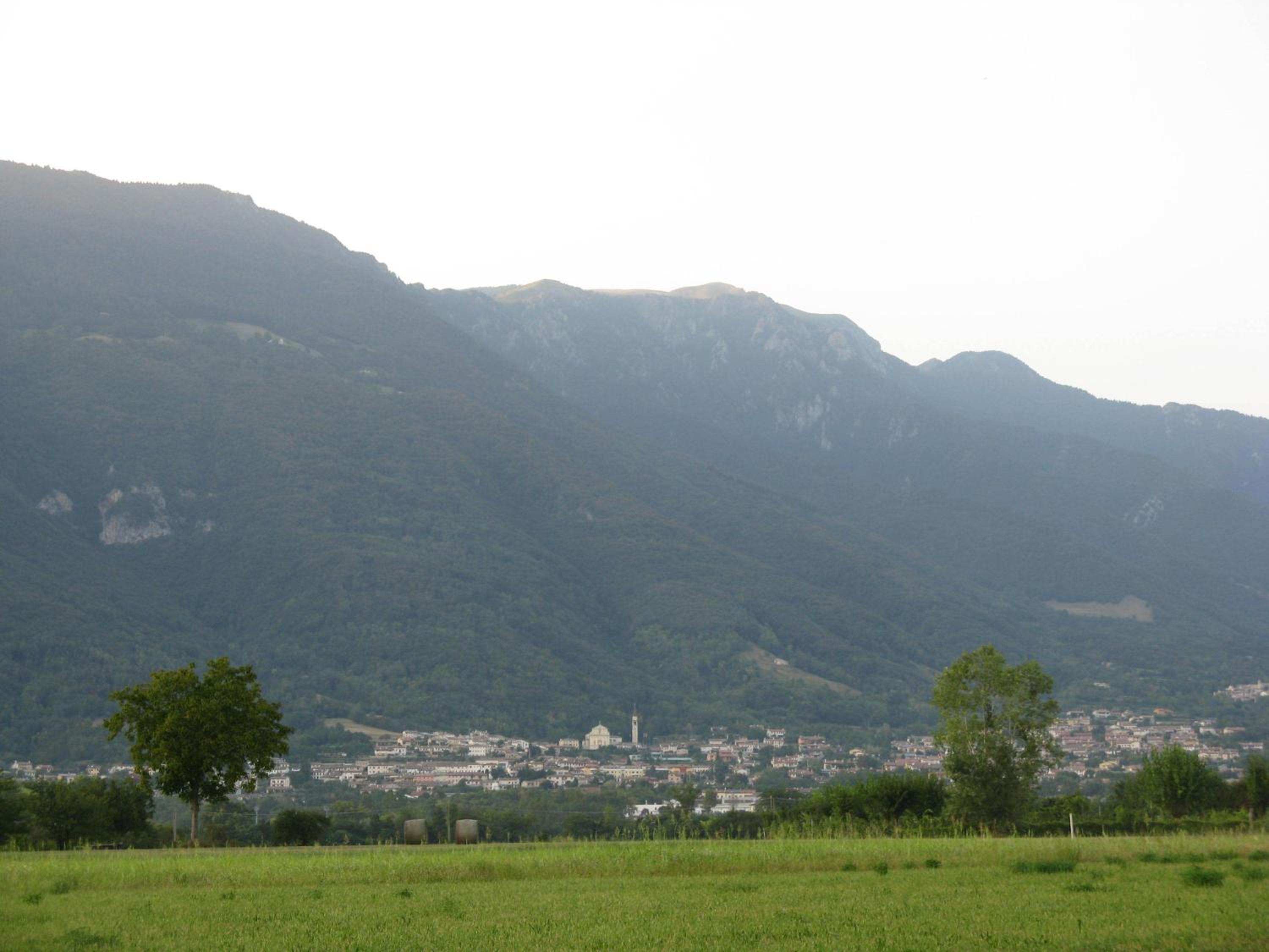 Photo 52
