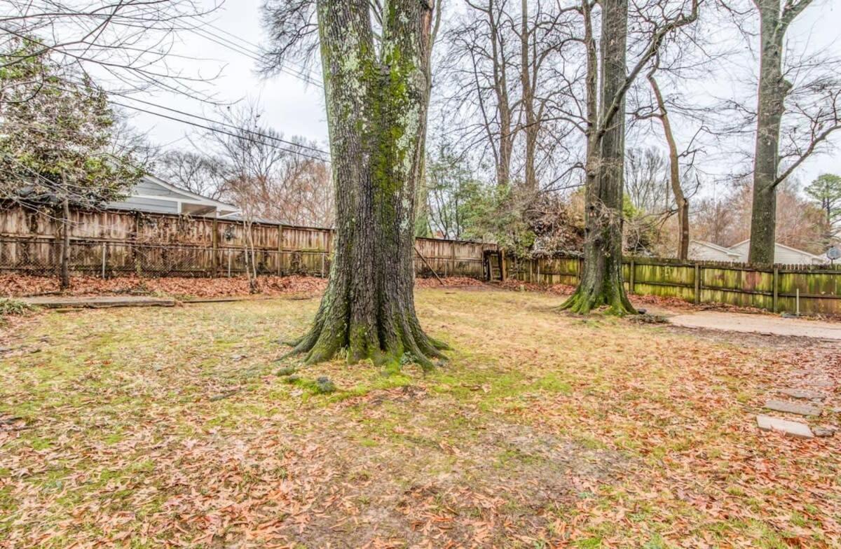Colonial Acres Abode- East Memphis- 20 Mins to Downtown view 3