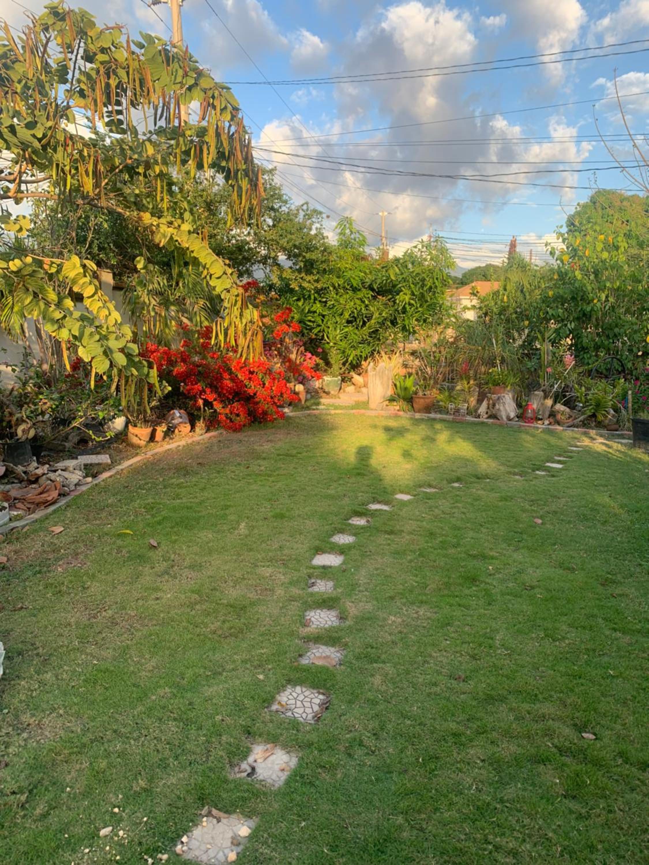 Private 1-Bedroom Villa with Pool & View in Kingston