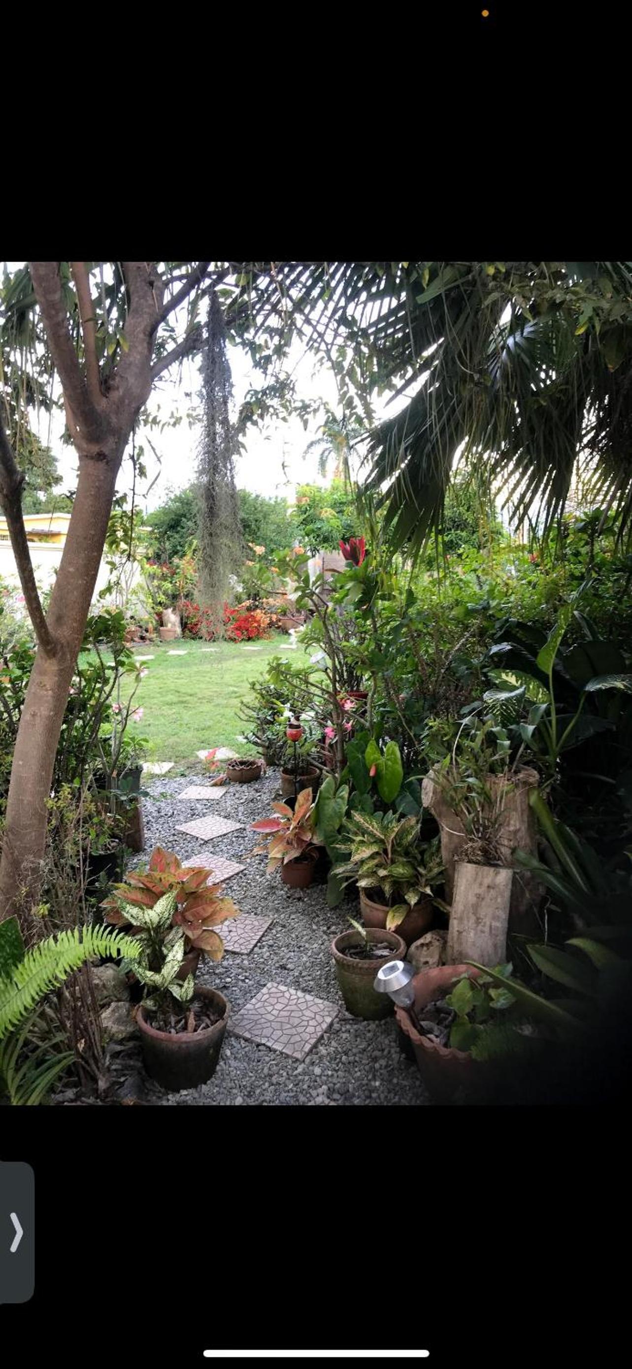 Private 2-Bedroom Villa with Pool & View in Kingston, photo 18